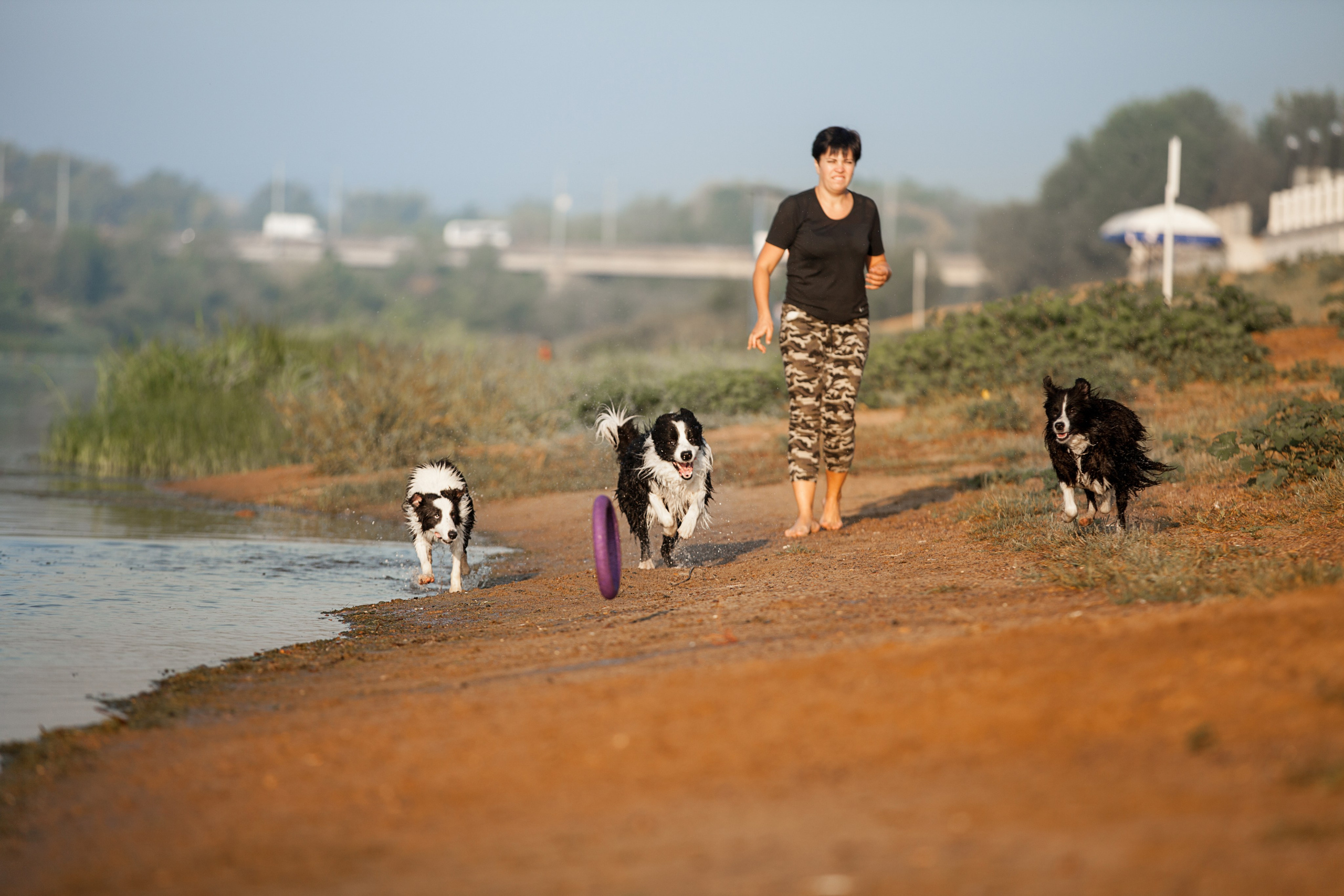 Сочный рассвет, на который решились. О нас