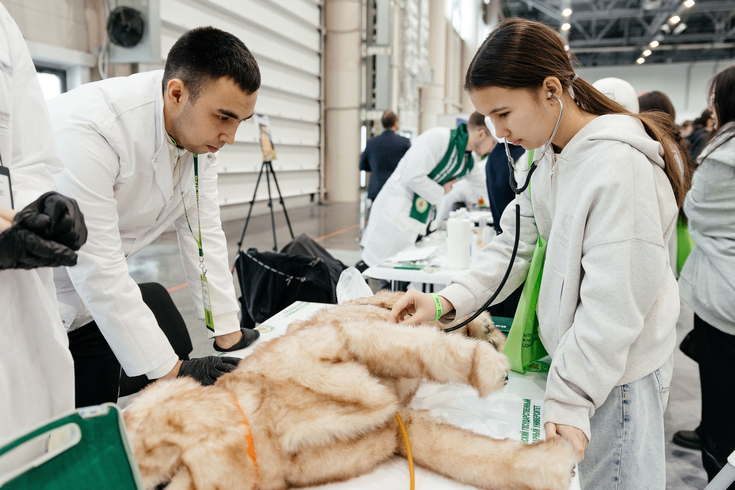 КАЗАН АГРО. Профессиональный фотограф!