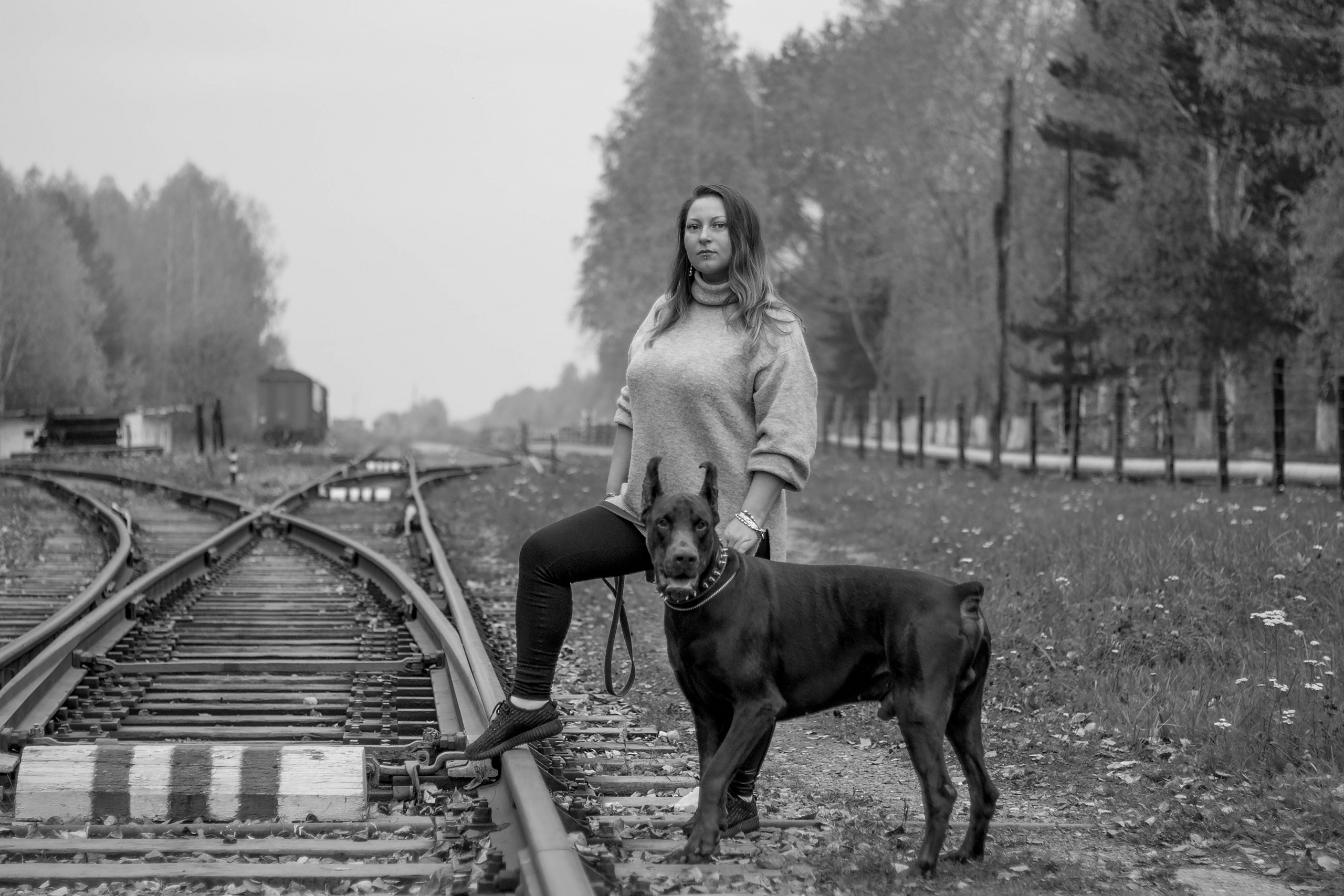 Черно-белая фотография