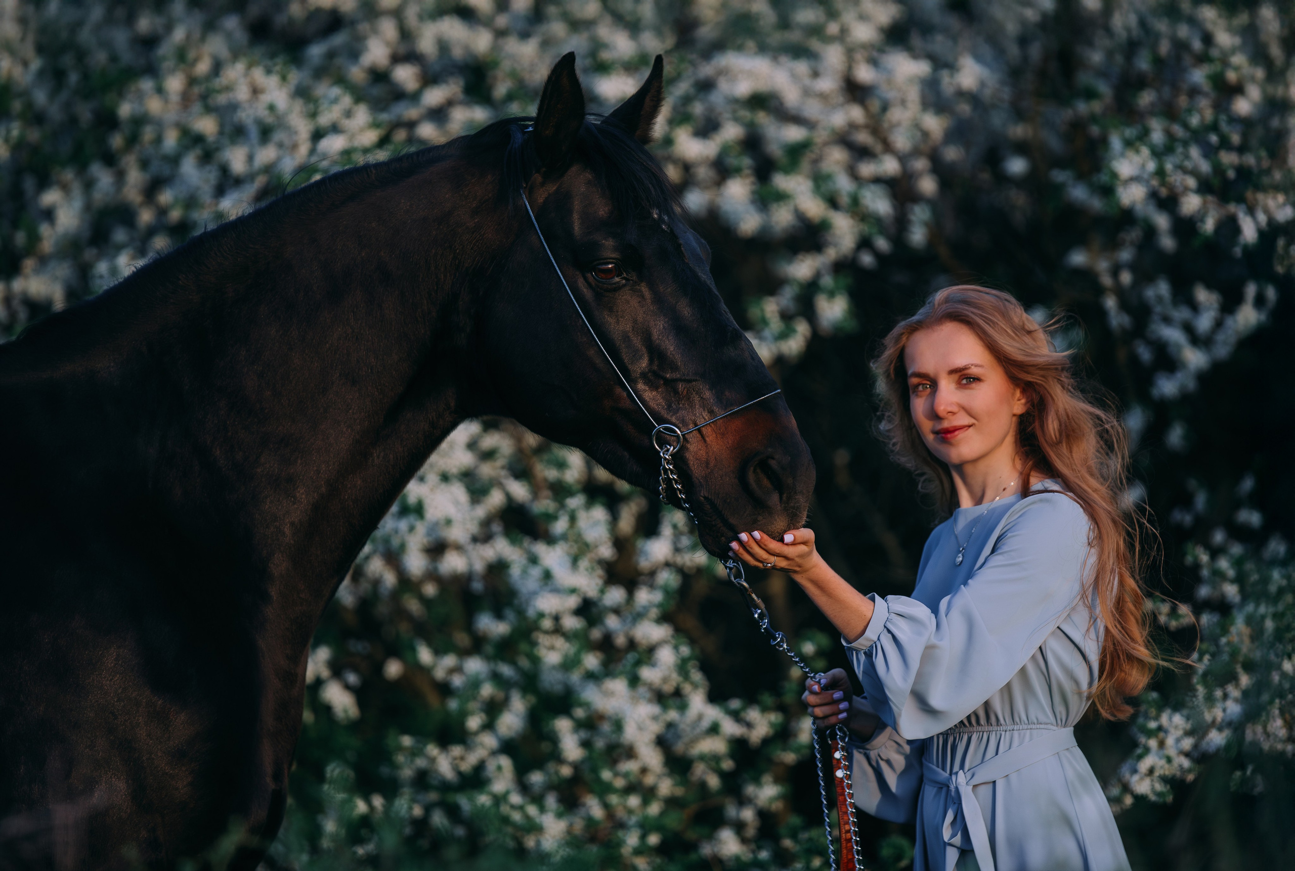 Вероника и Брэй. Фотограф-анималист Ксендзова Кристина