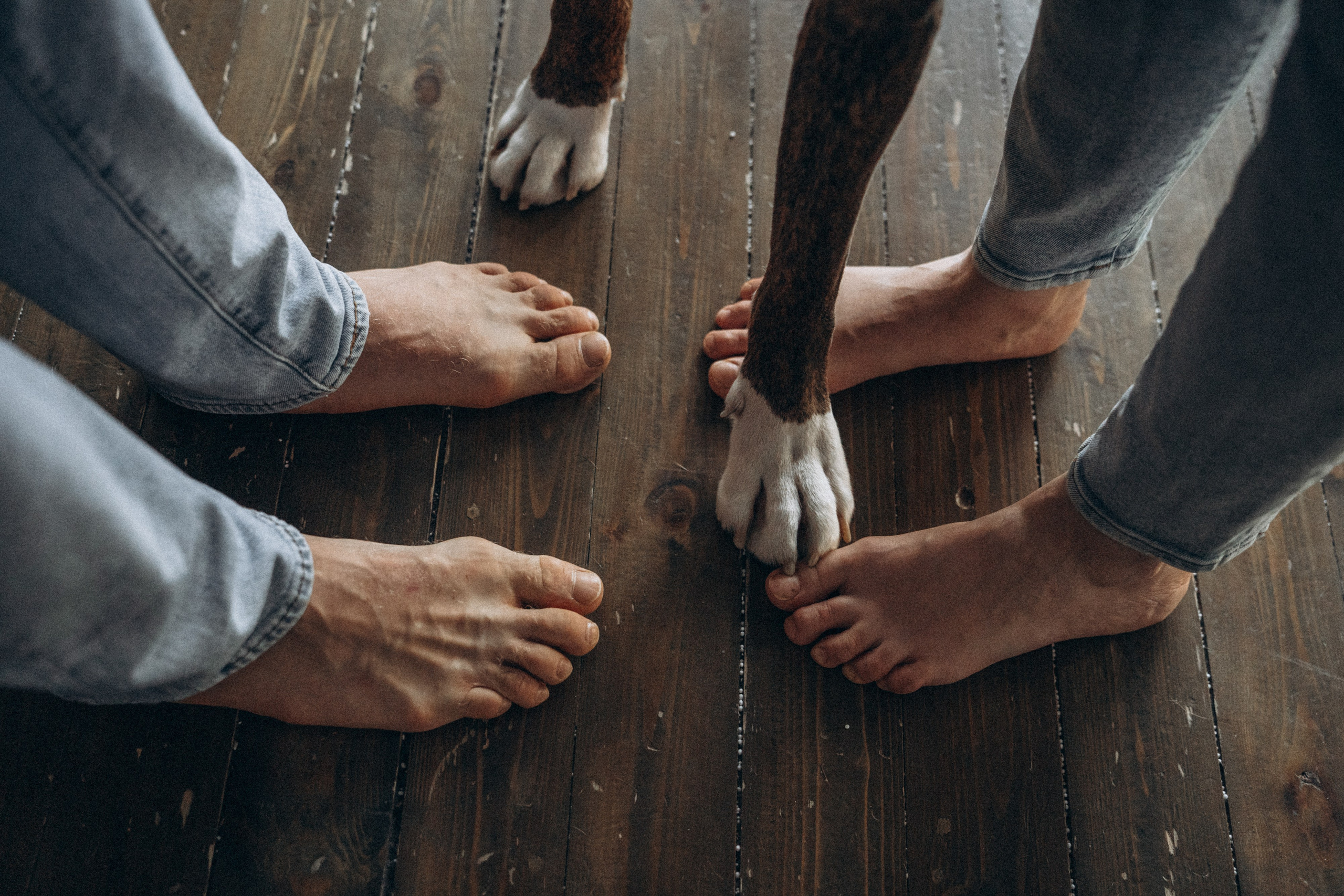 Анна, Максим и Марсель. Фотограф анималист в Москве и Санкт-Петербурге Свиридова Анна