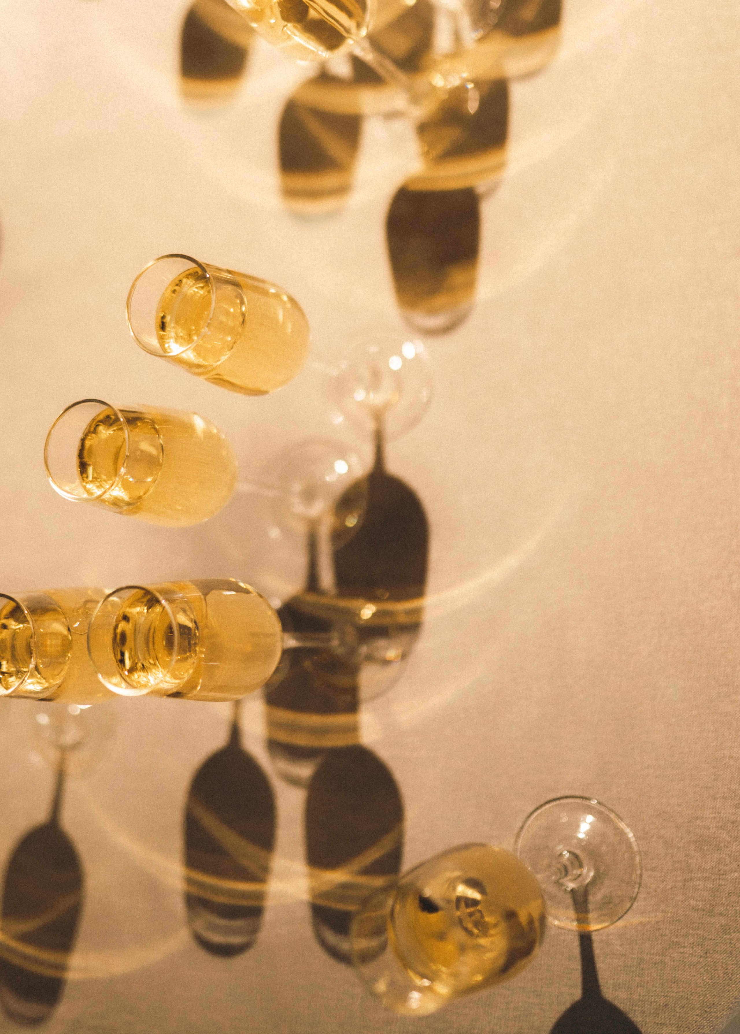 Розы и любовь. Творческий фотограф Аня Волк