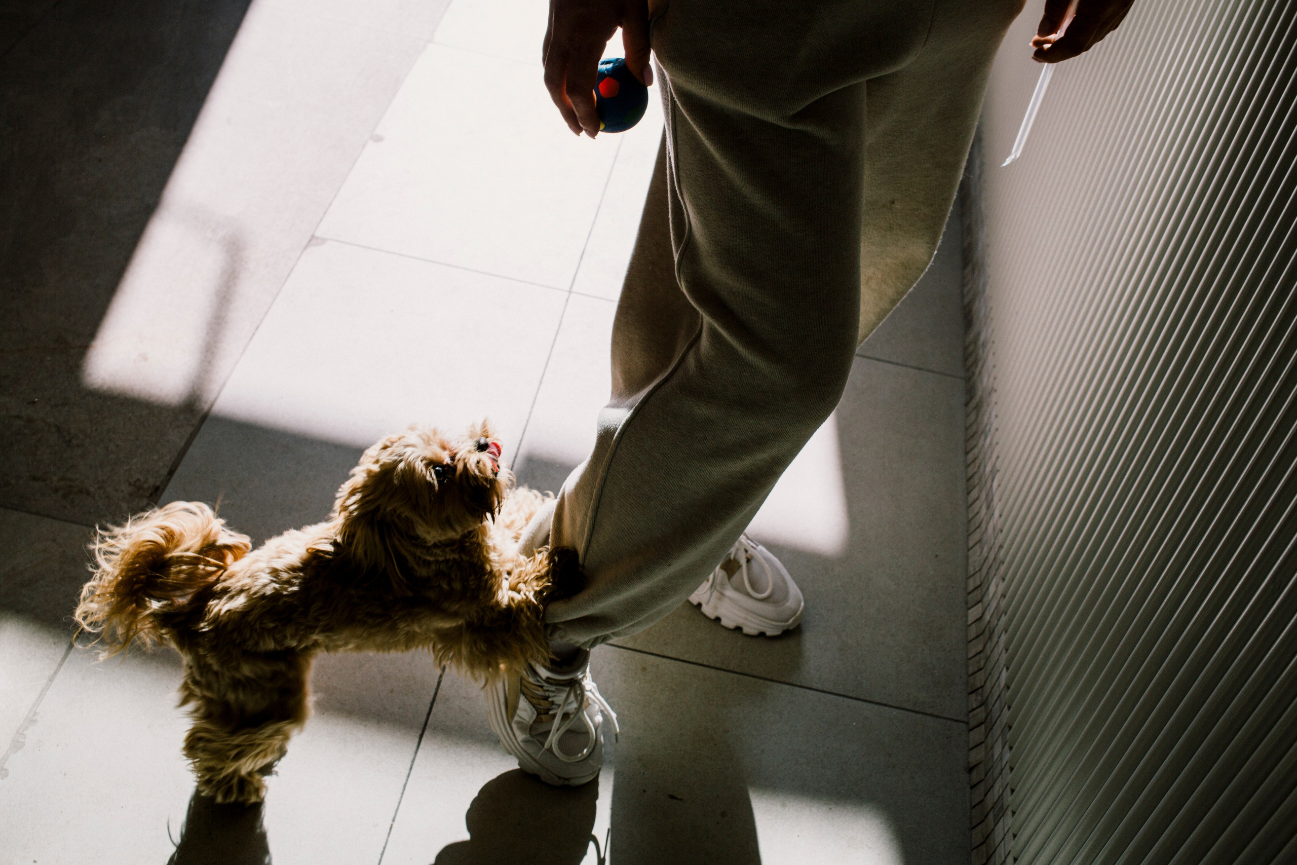 To by Story. МАГДА