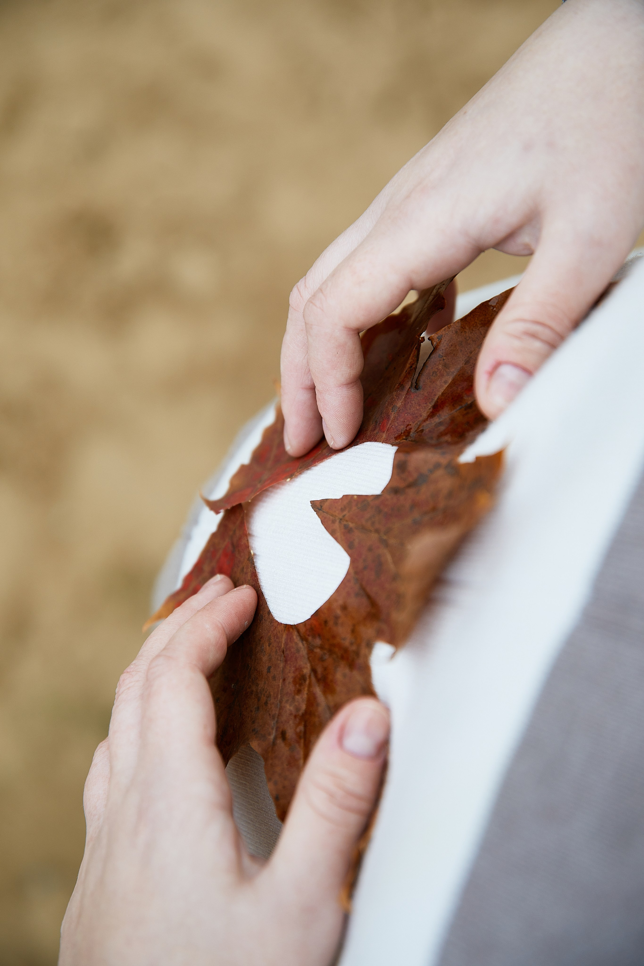 Оля и Костя. Татьяна Бабаева — Фотограф