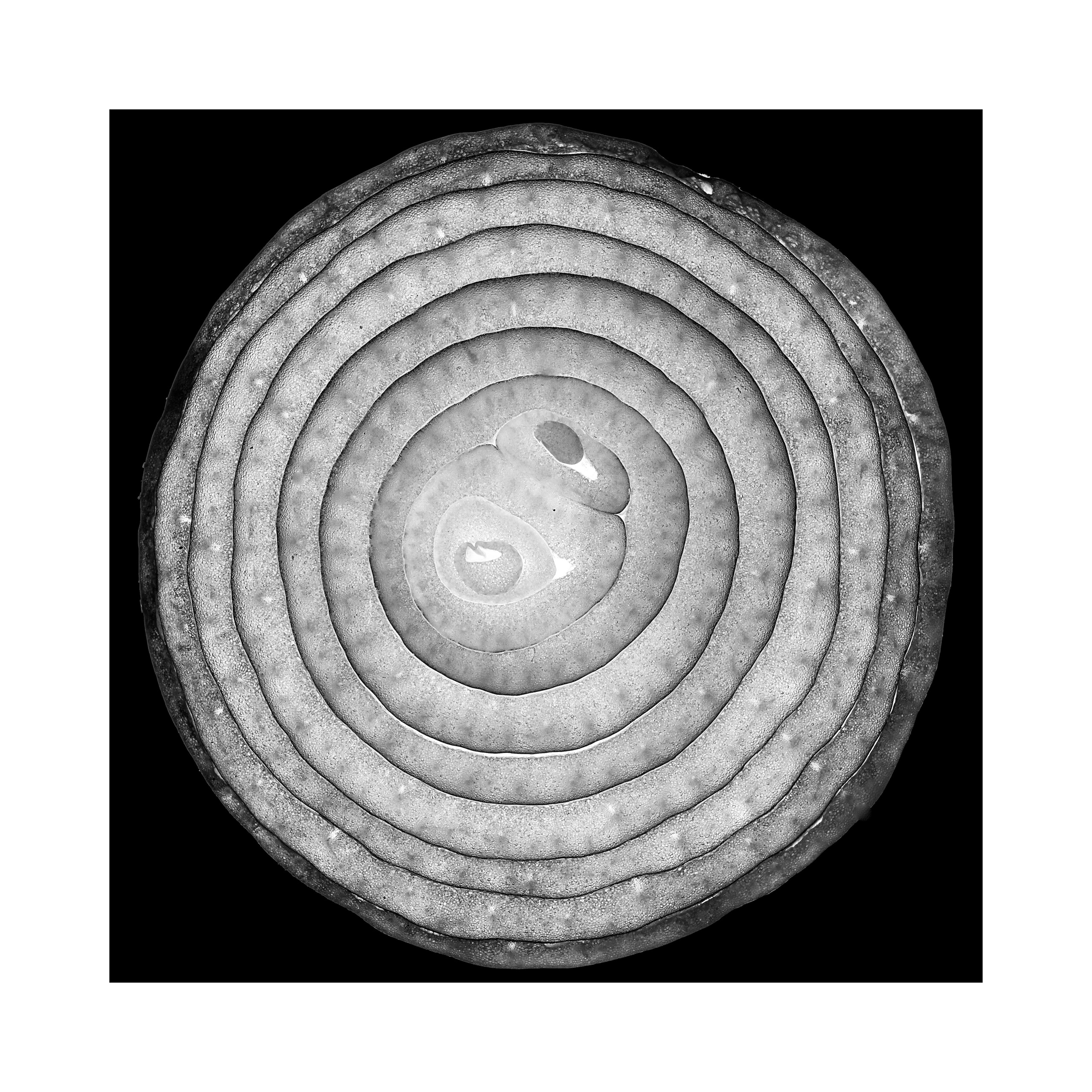 Фотопроект «Круги жизни». Портретный фотограф в Челябинске Катерина Руди