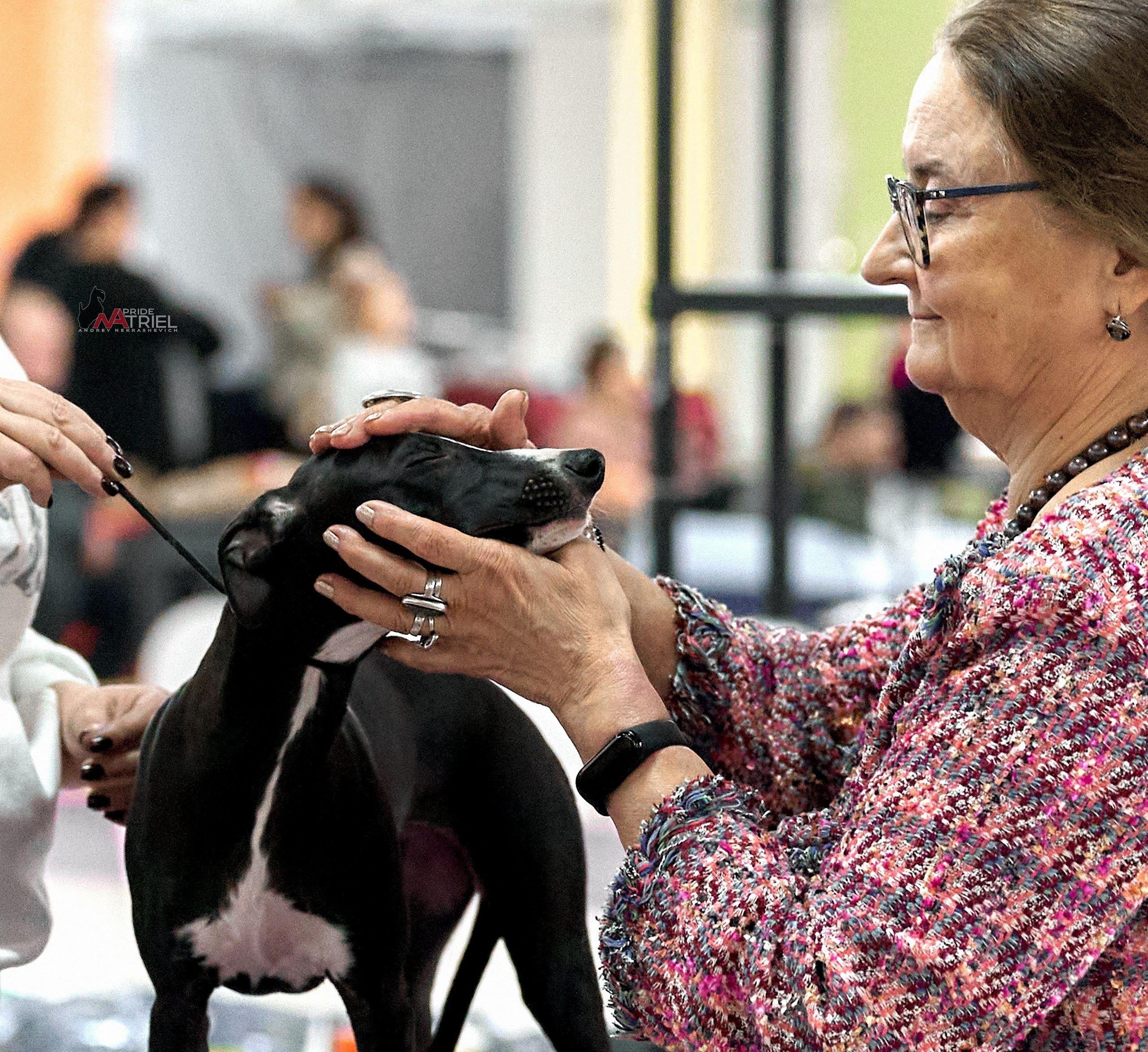 Работа в рингах — галерея NATRIEL