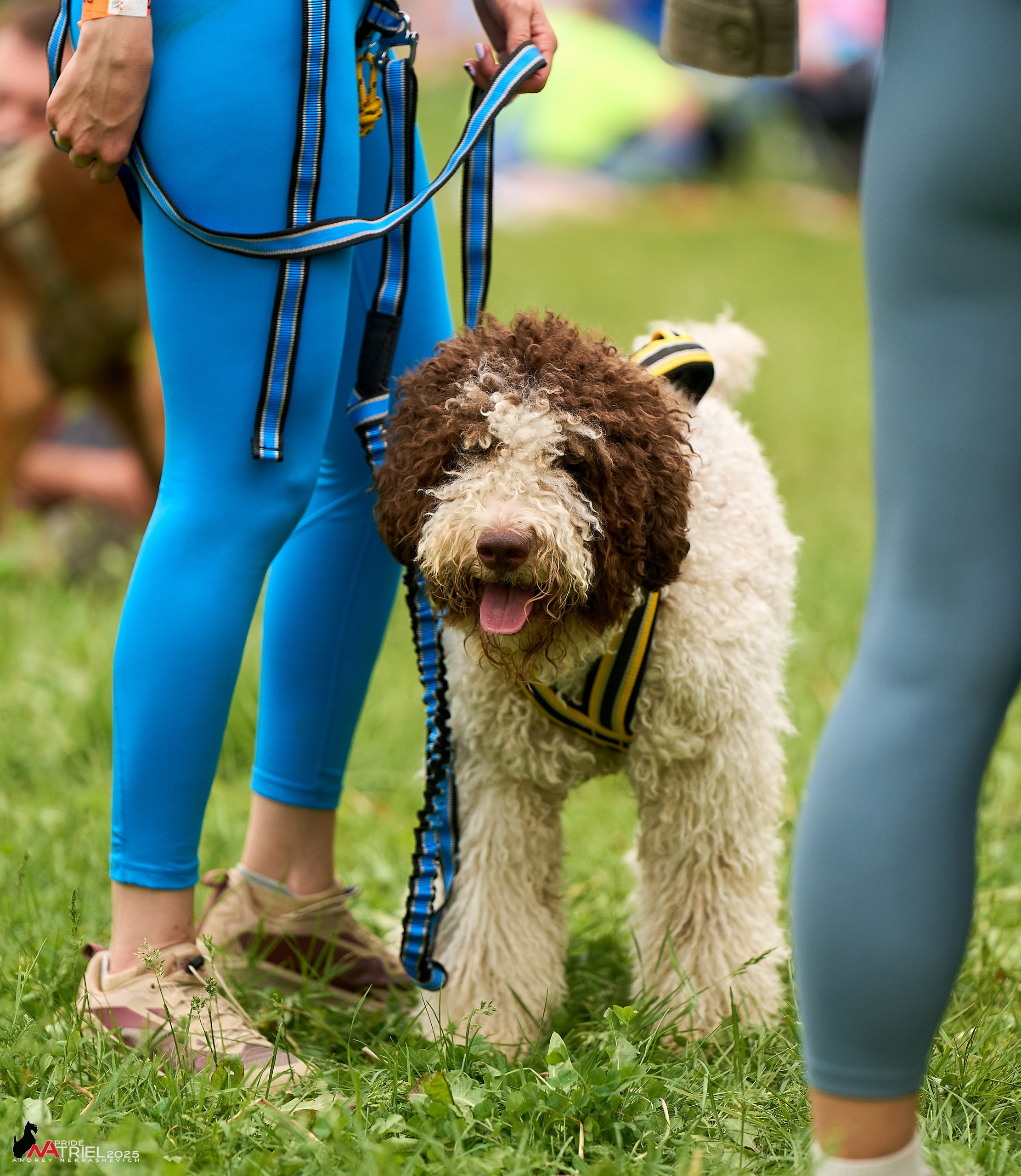 Russian Extreme Dog Trail — 2025