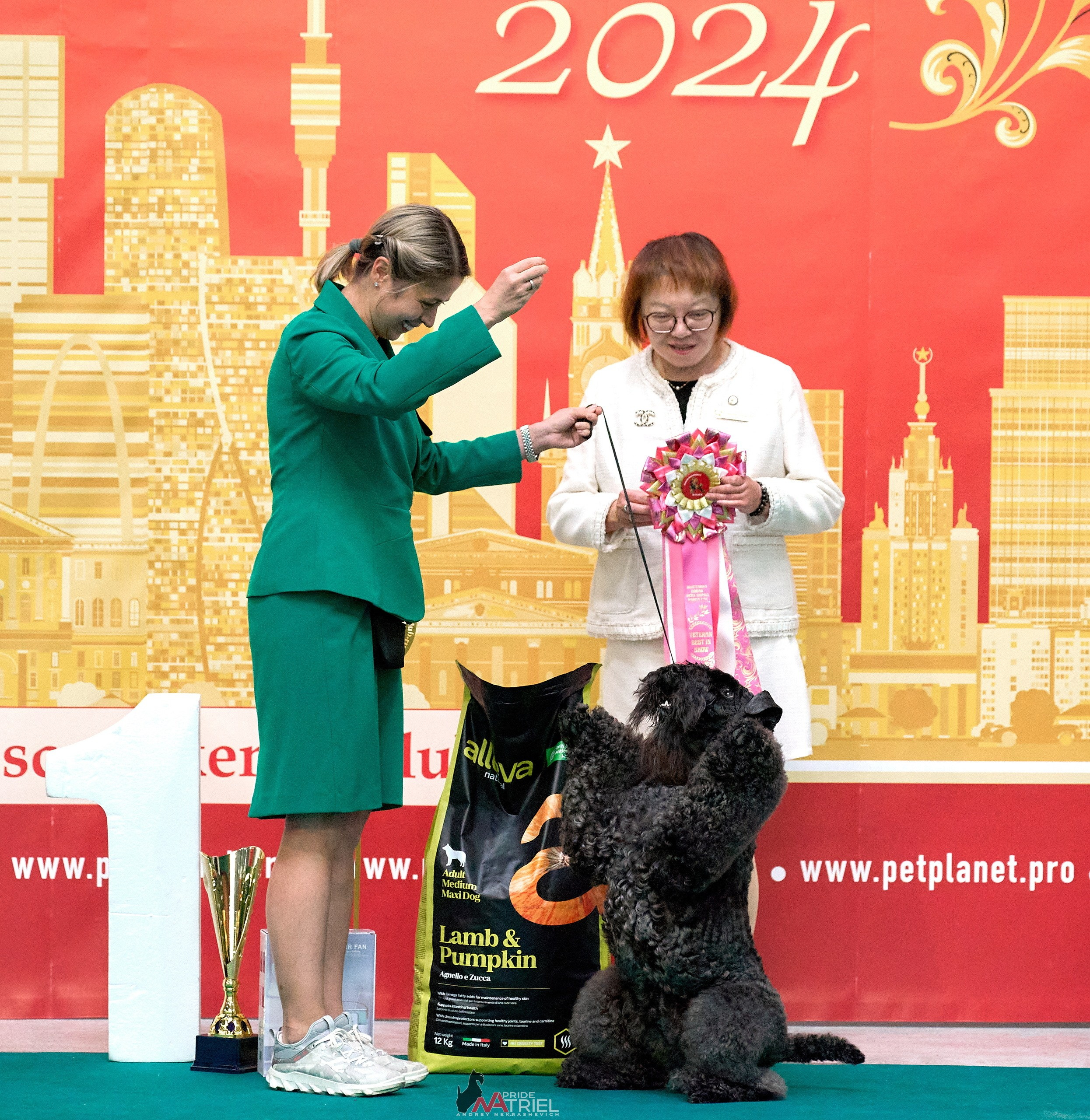 Призовые места — галерея NATRIEL