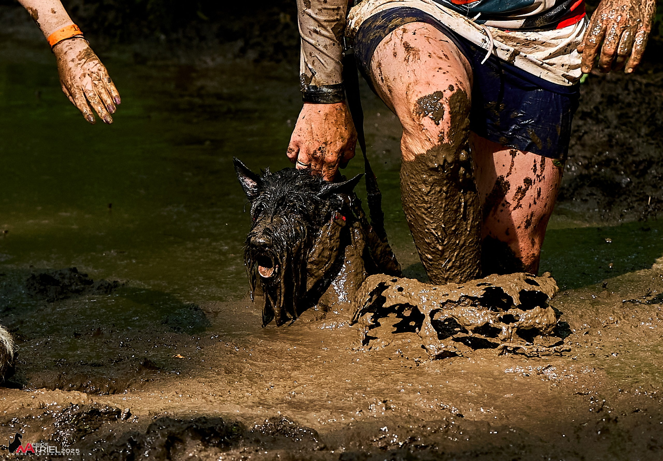 Russian Extreme Dog Trail — 2025