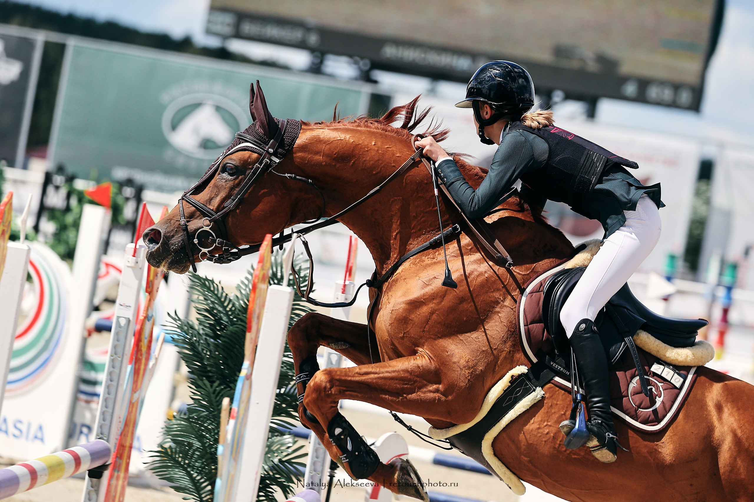 Евразийские игры по конкуру, Maxima Stables | 07'2023. Репортажный фотограф и ретушер в Москве Наталья Алексеева