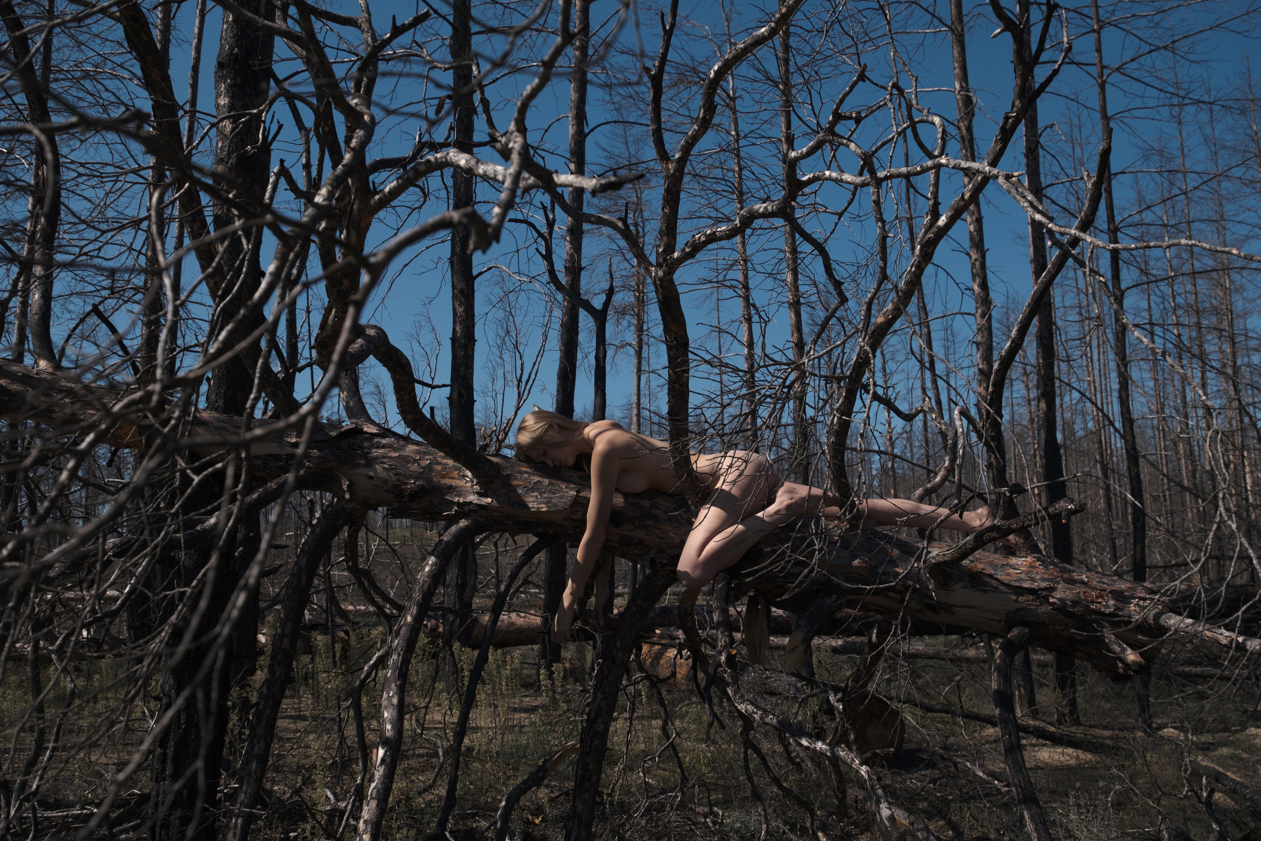 Горельник. Фотограф Коробова Екатерина