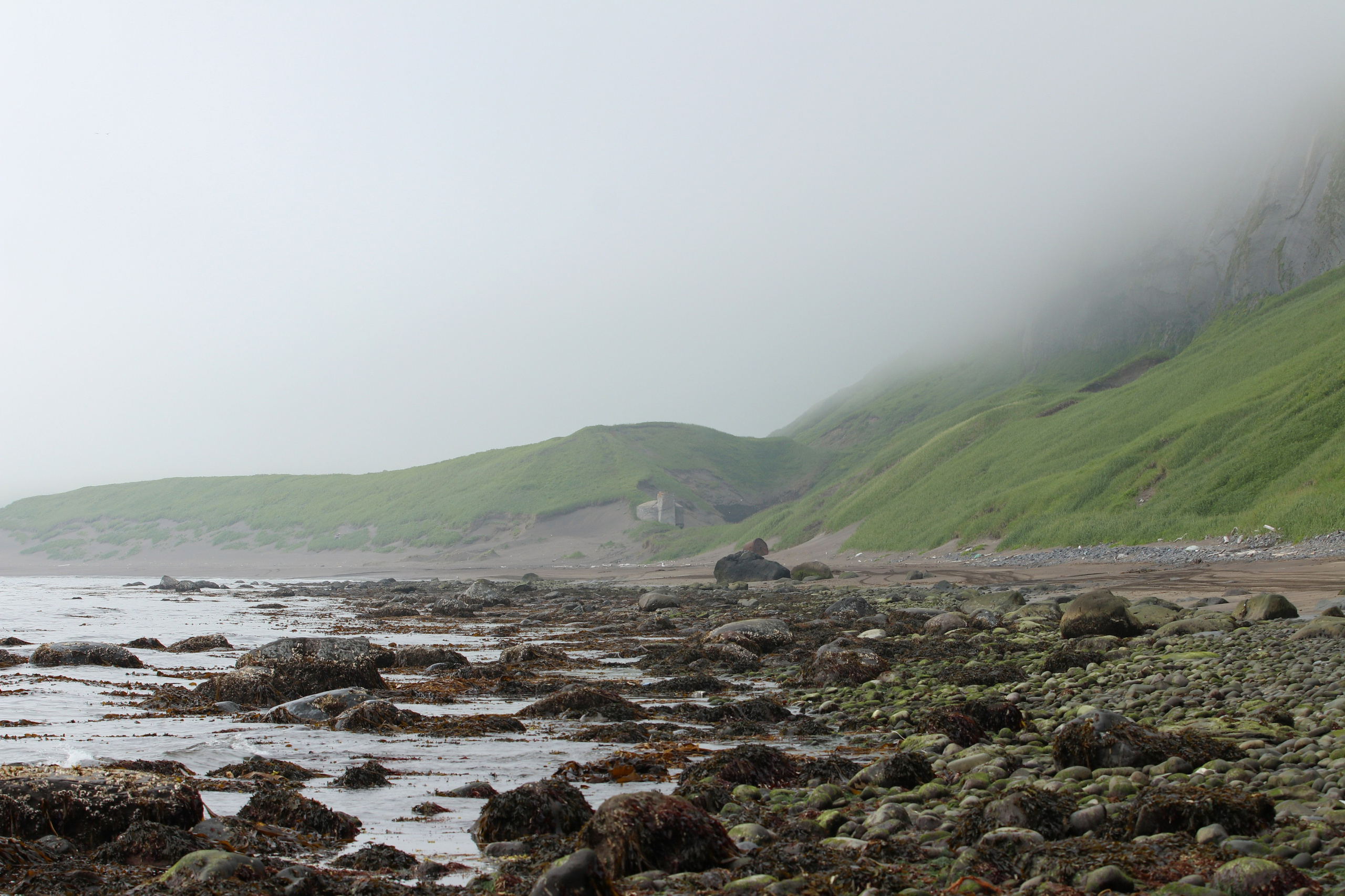 Камчатка и о. Парамушир. Июль 2024. Путешественник-фотограф из Санкт-Петербурга Татьяна Свистулина