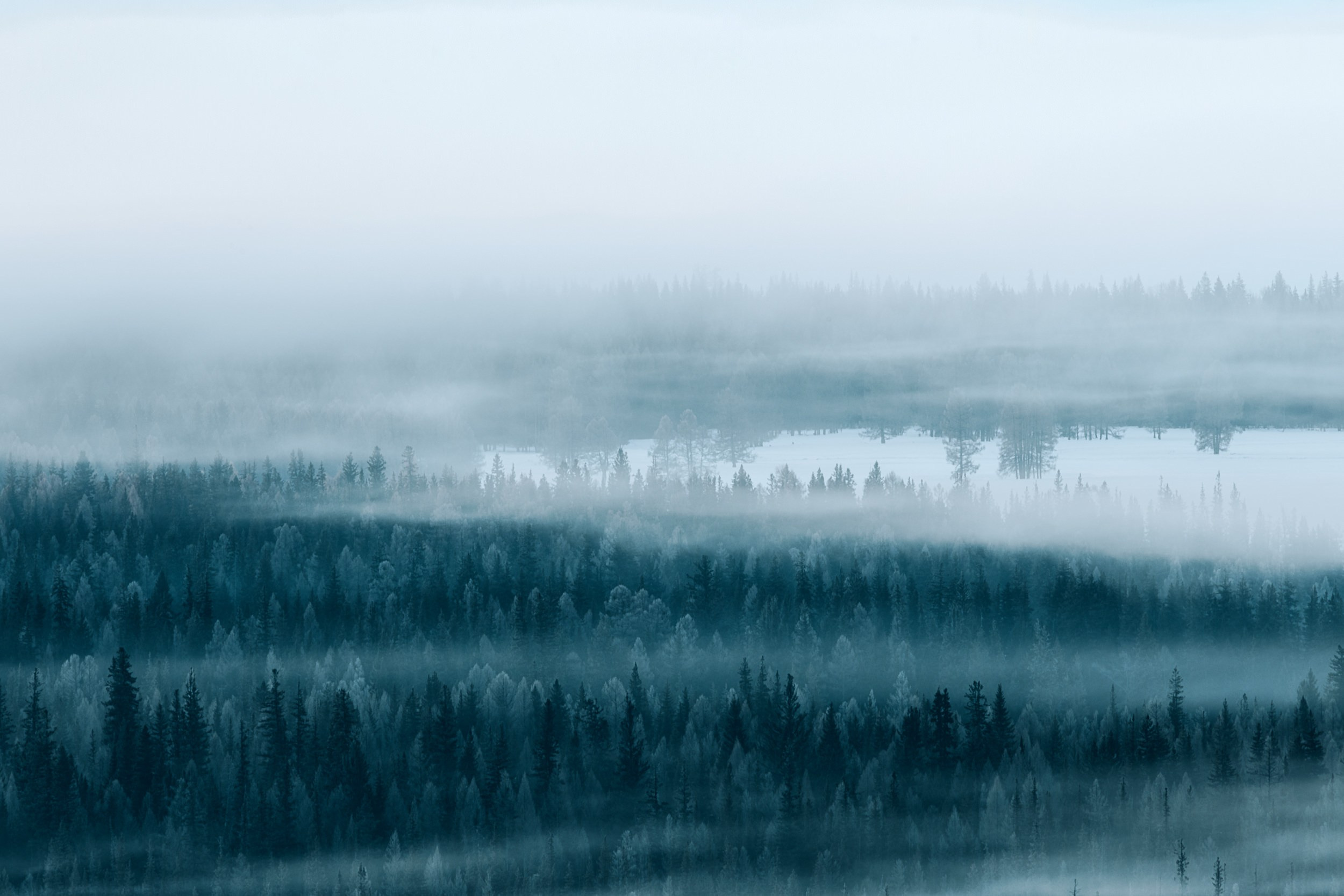 Пейзаж • Landscape. Елена Ивановой • Профессиональный фотограф
