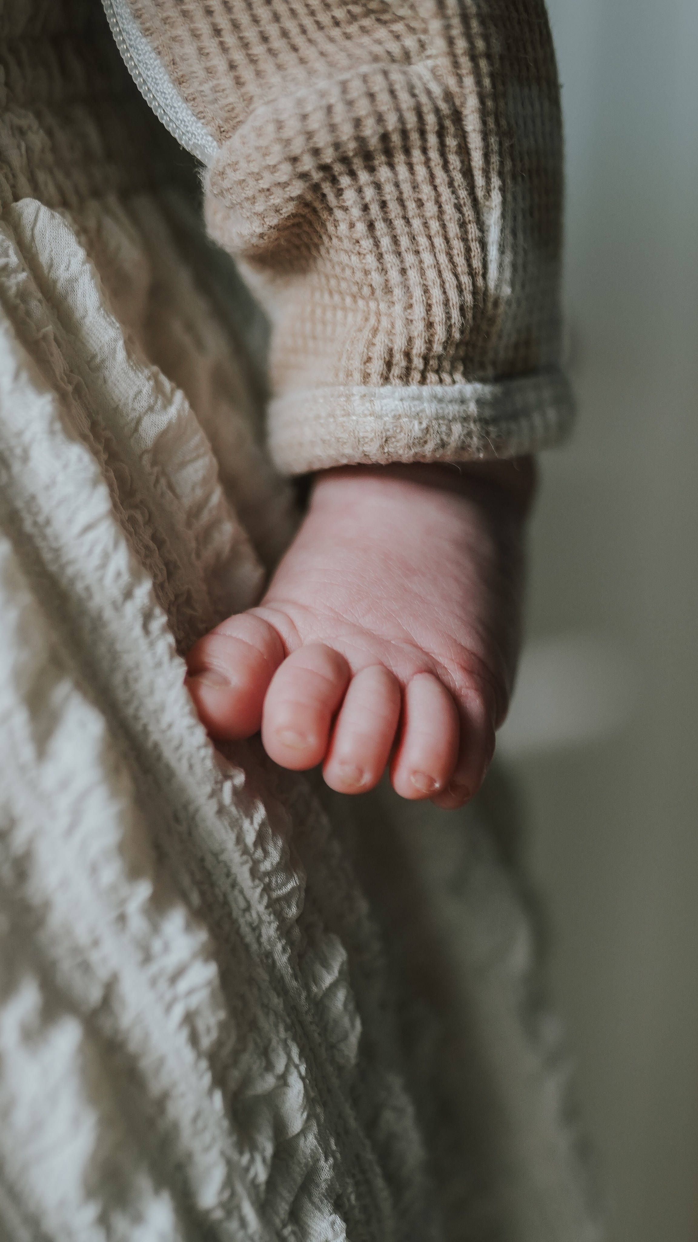 Newborn & Family Portraits — Heartfelt Austin Photography