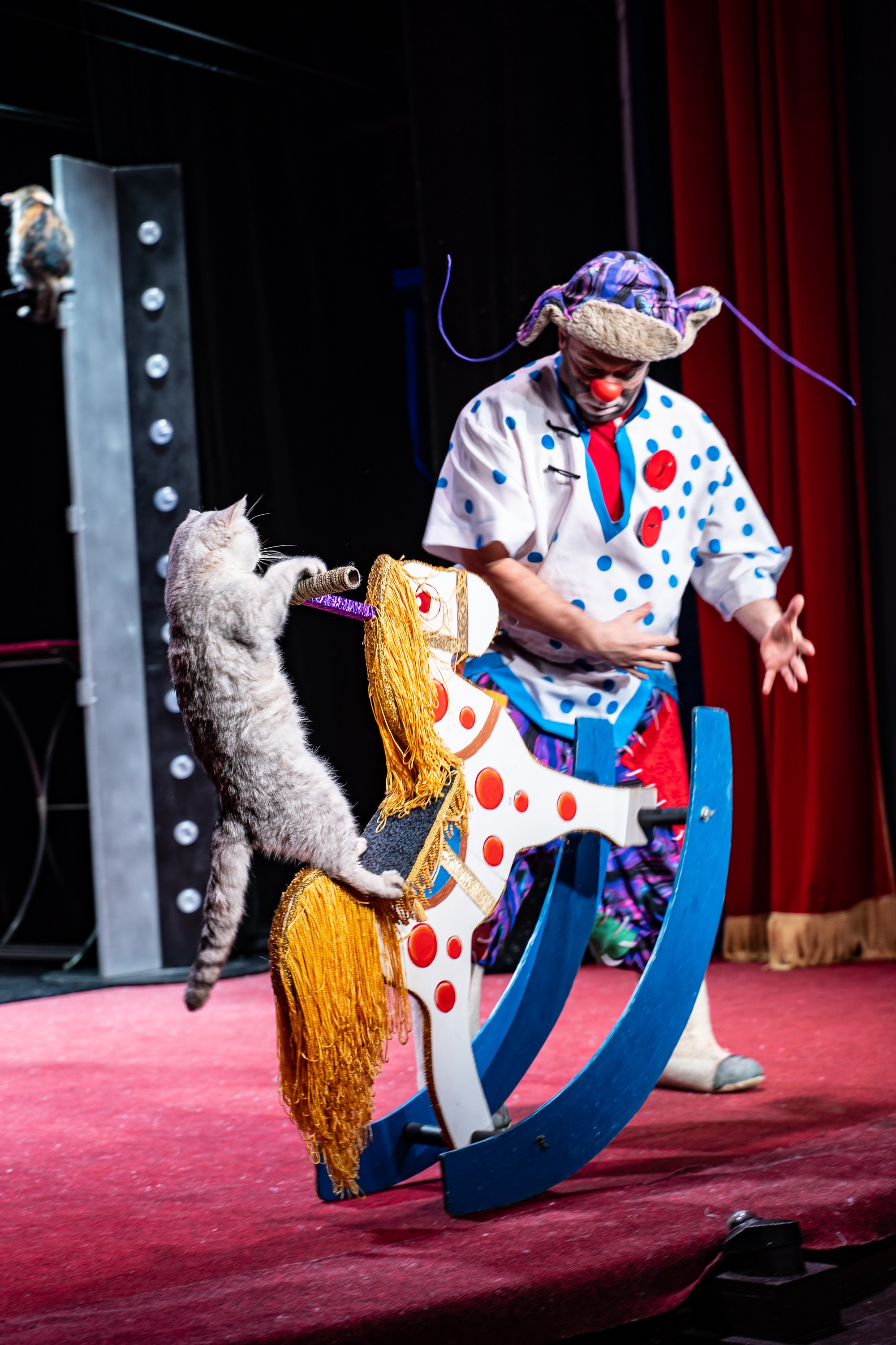 Театр Куклачева и его закулисье. Разноплановый фотограф в Москве