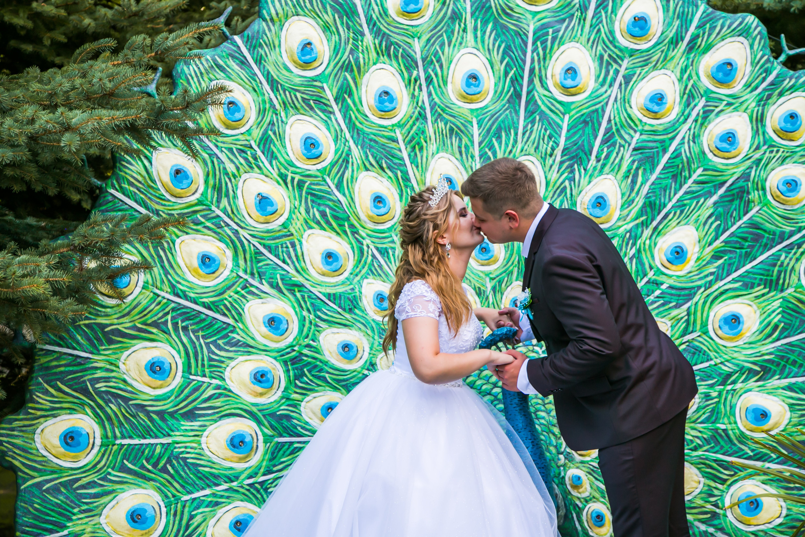 Свадебная фотосессия в Тольятти. Свадебный фотограф, видеограф в Самаре, Самарской области. Видеосъемка