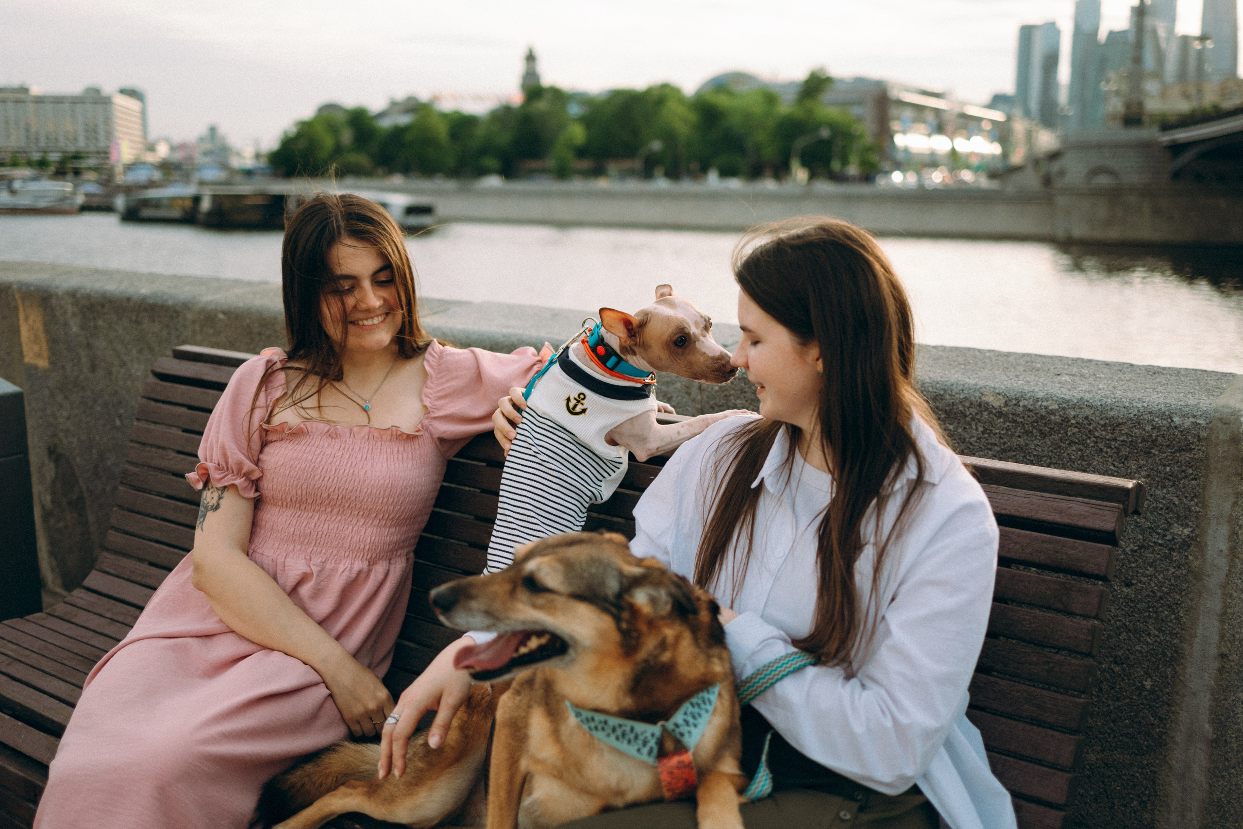 Глаша, Айрон, Ксюша и Оля. Фотограф анималист Анастасия Пикей