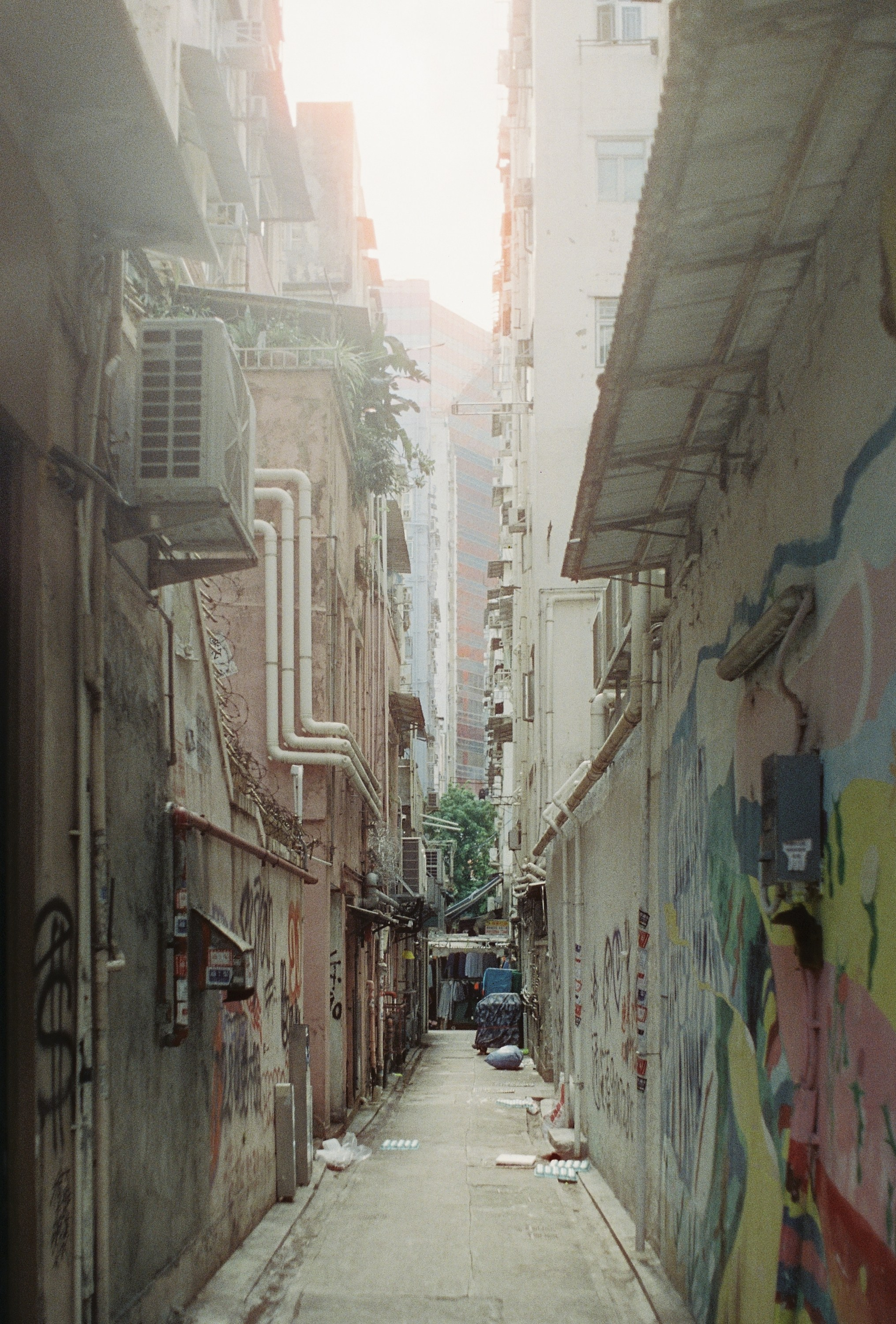 Пленочная фотография в Москве