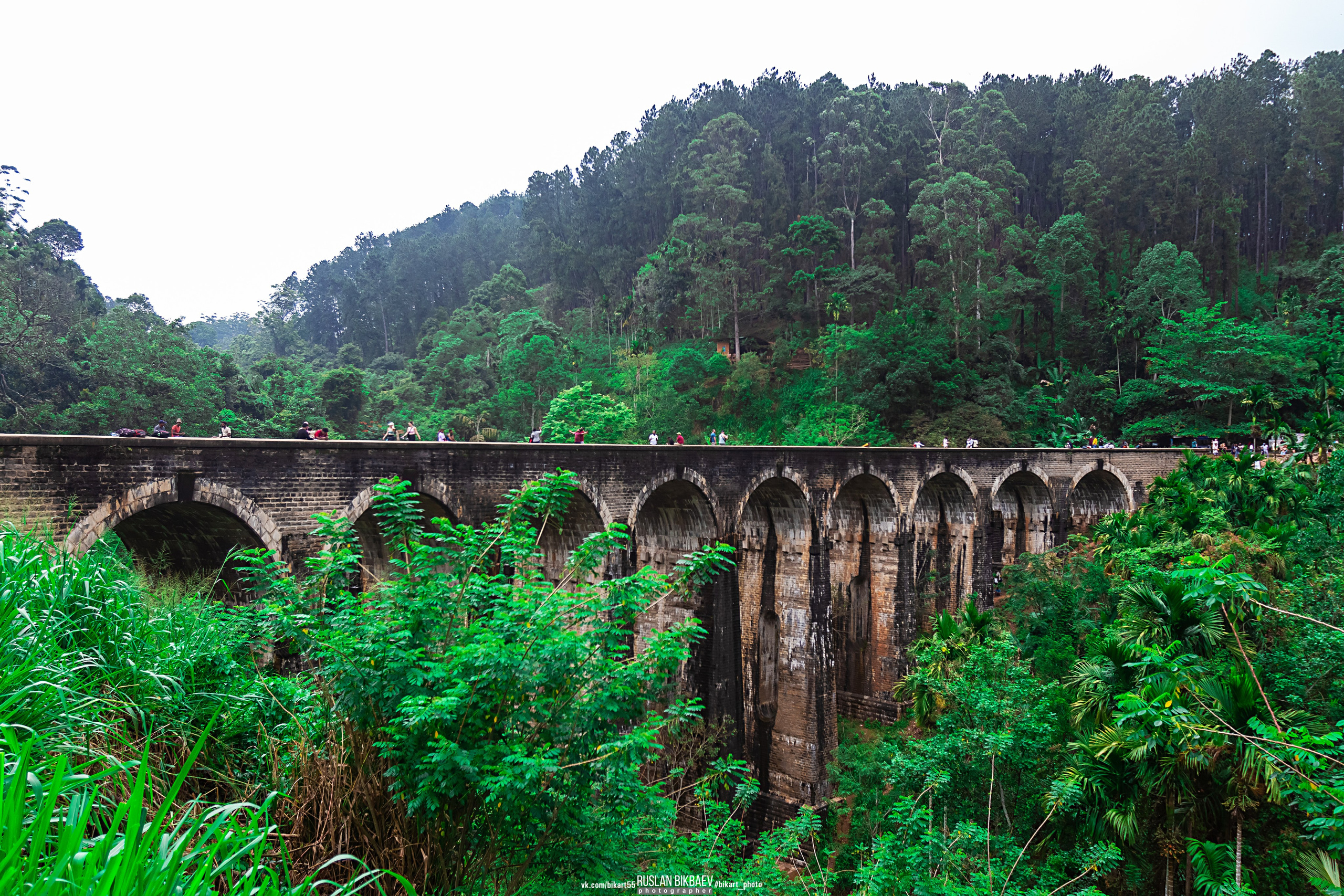 ШРИ-ЛАНКА 2025 / SRI LANKA 2025. Главная