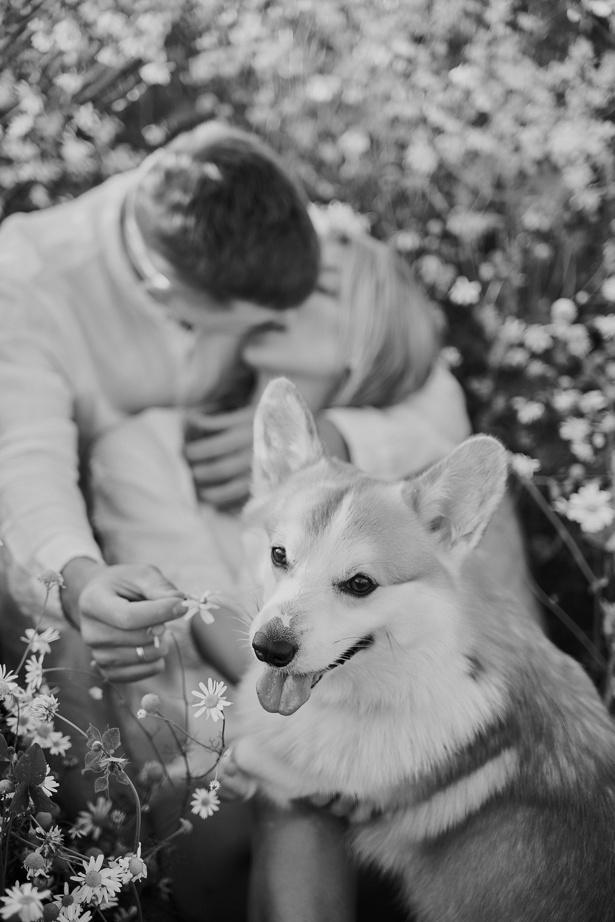 Свадебная съемка Брянск Москва Свадебный фотограф фотограф на свадьбу  фотограф Орел. Свадебный и портретный фотограф в Брянске Скепская Лилия