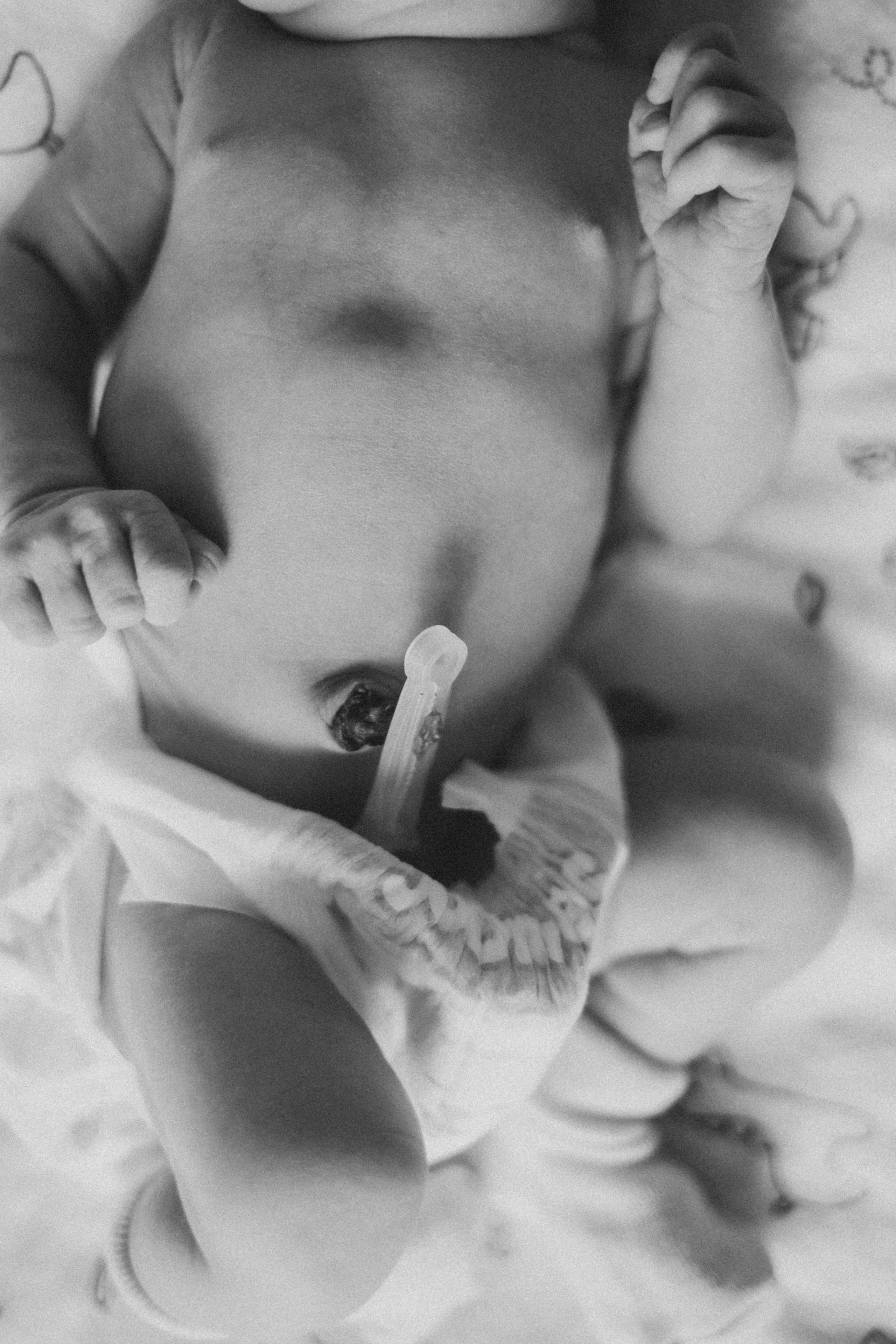 Портфолио. Семейный фотограф в Москве Елена Дудкина