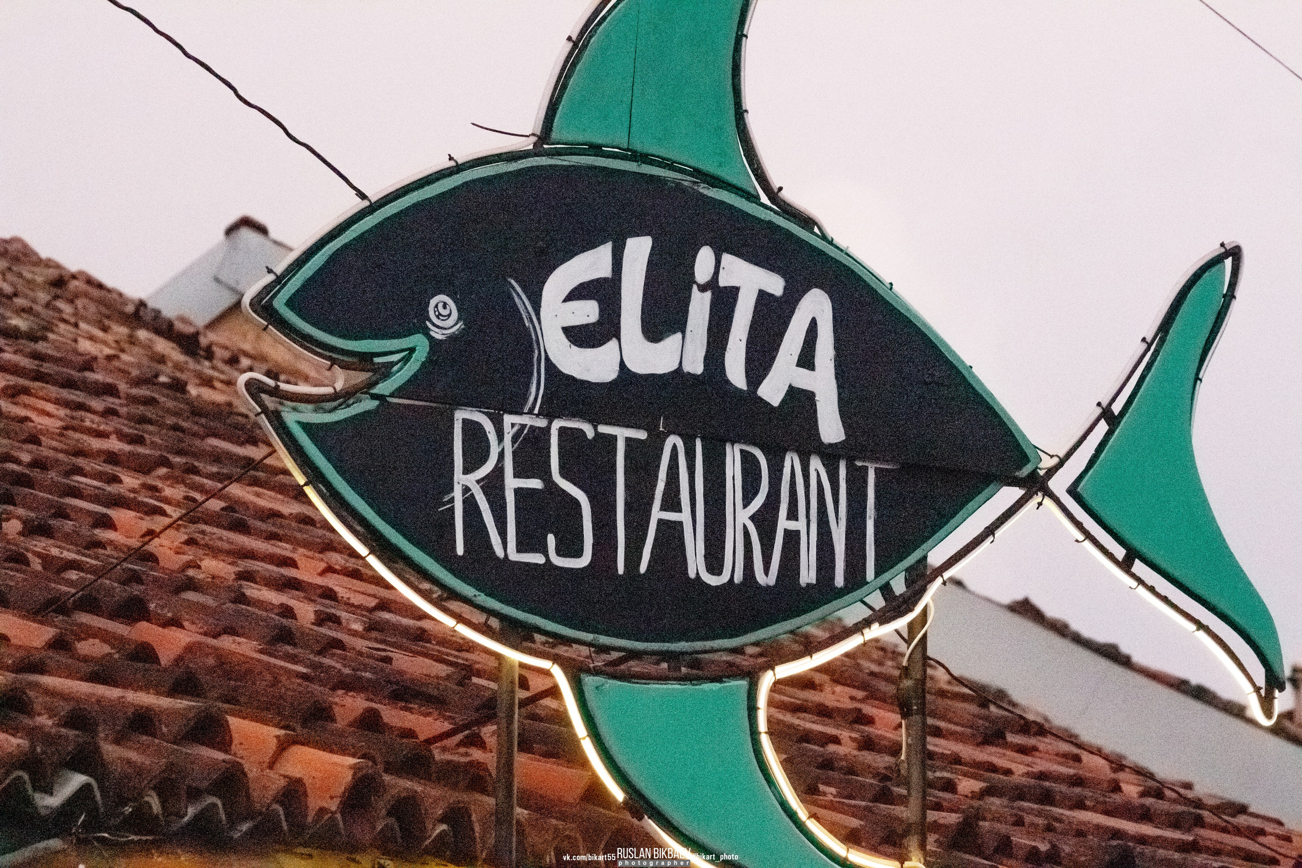 ШРИ-ЛАНКА 2025 / SRI LANKA 2025. Главная