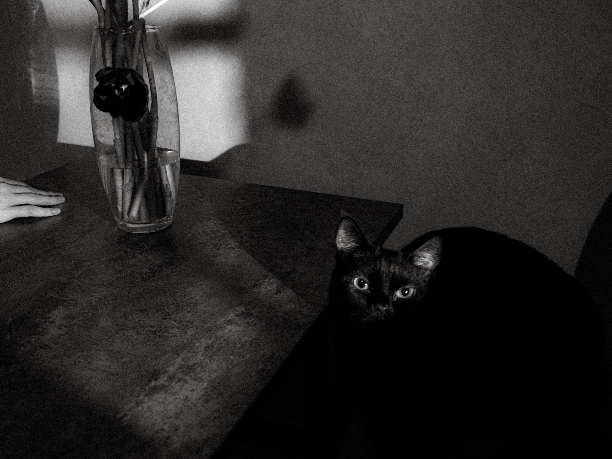 Вера. Видеограф Нижний Новгород, Санкт-Петербург Лена Латышева