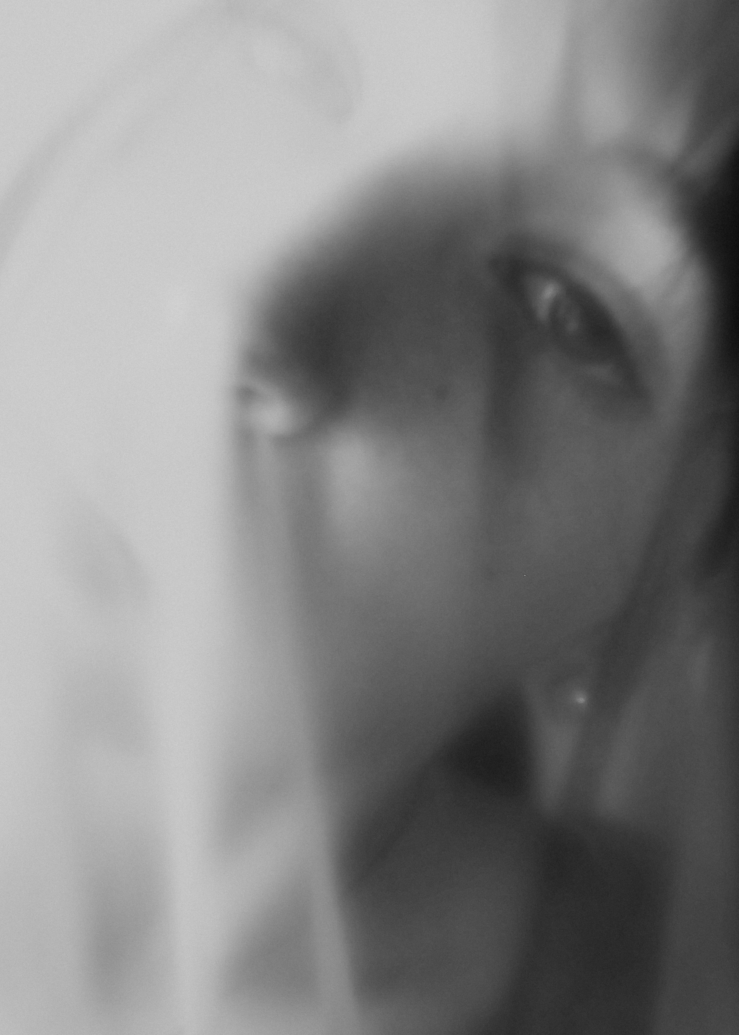 RED. Портретный фотограф DanilNabody