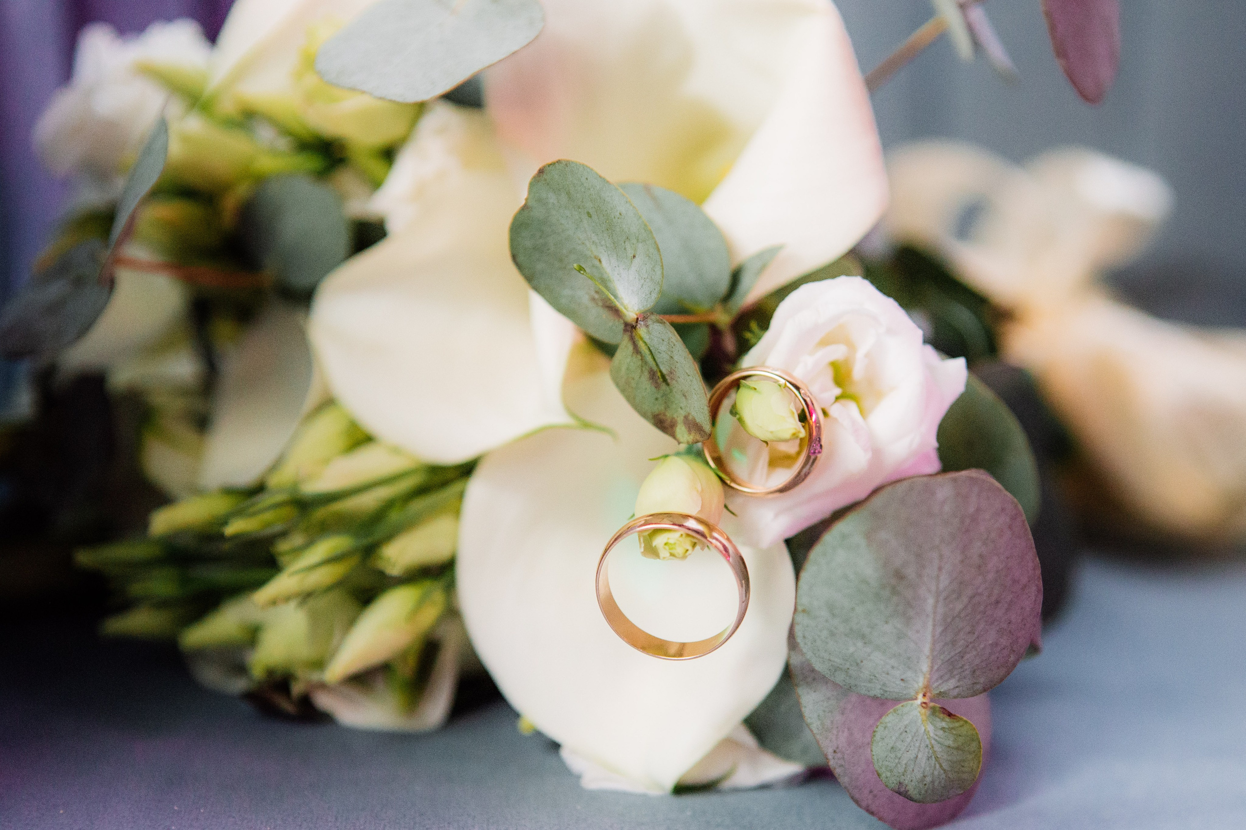 MEMORY PLACE СВАДЬБА. Репортажный фотограф Москва (детские праздники, квизы, концерты, дни рождения, свадьбы)