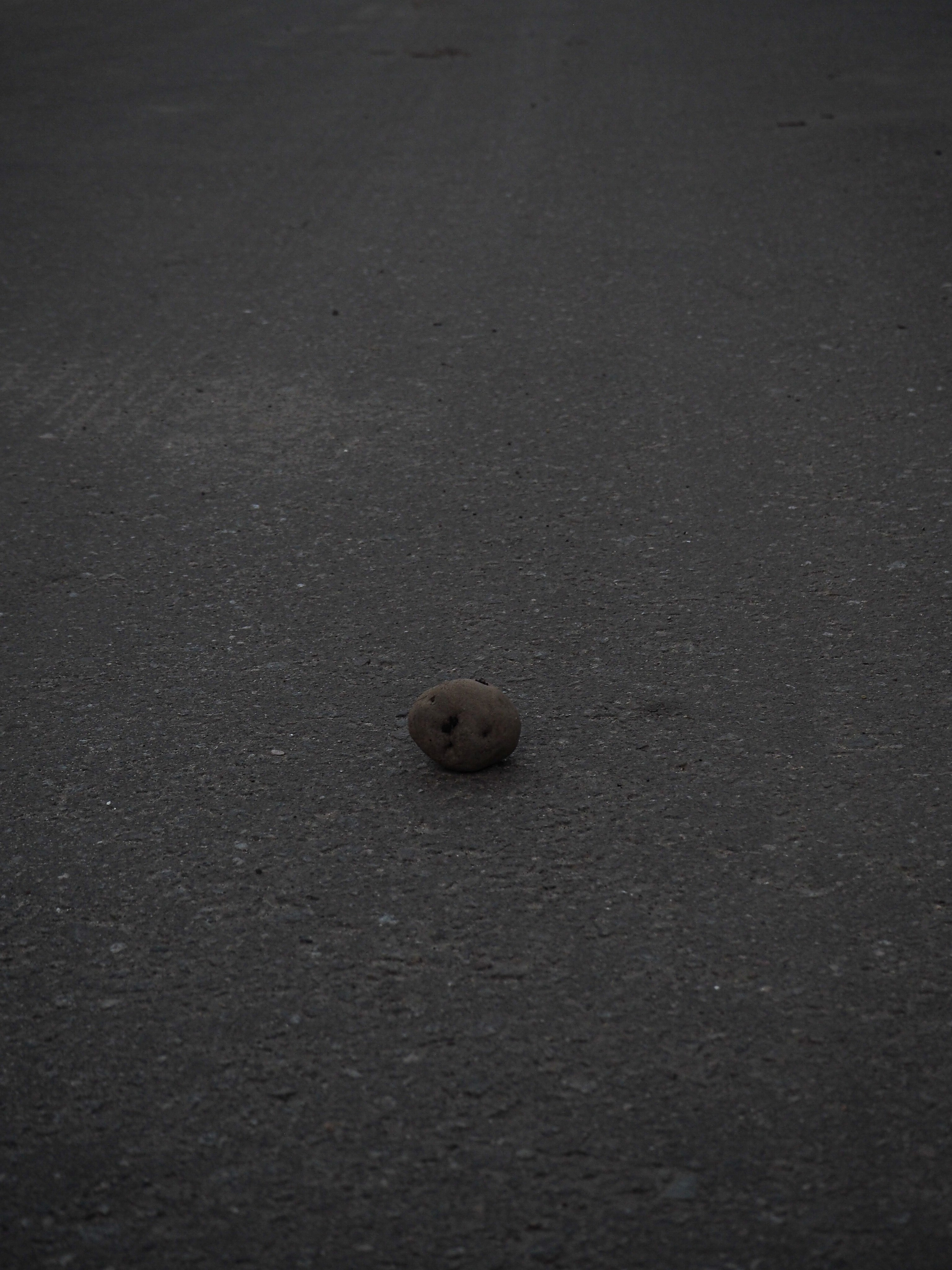 Из сердца лесополосы. Настя Арзуманова, фотограф