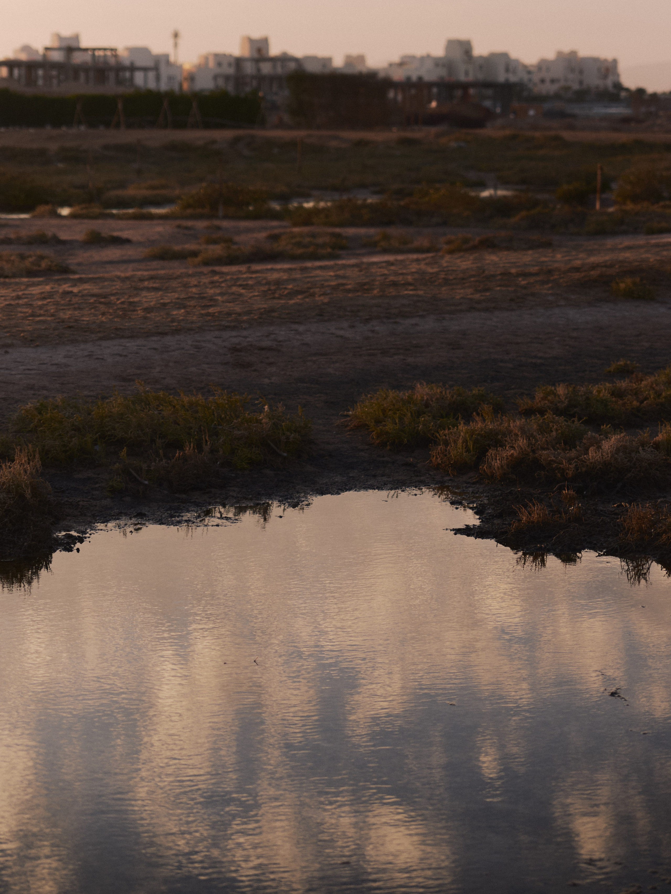 Другое 2. Jorgis Talè — photographer, kind person, teacher of arts and other mag