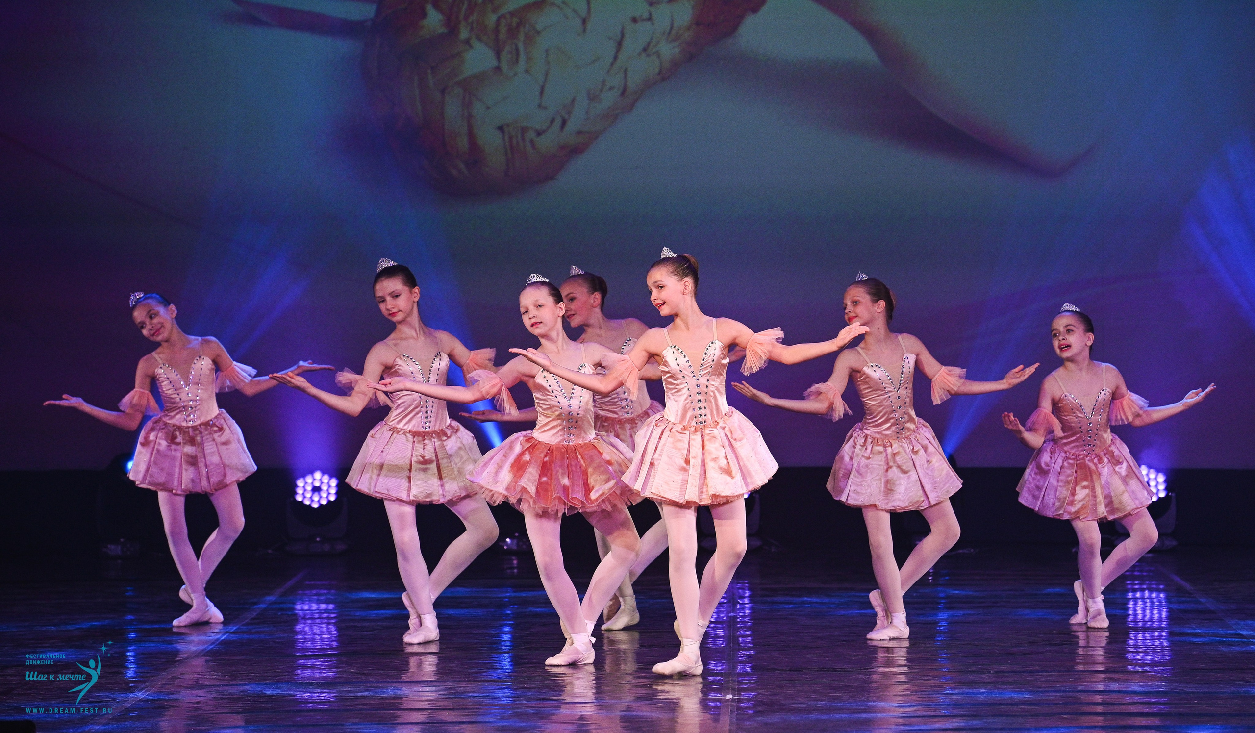 24.05.2025 «Мир под названием — Искусство танца» Фестивальное движение «Шаг к мечте» г. Кострома. Медиастудия Фото Концепт