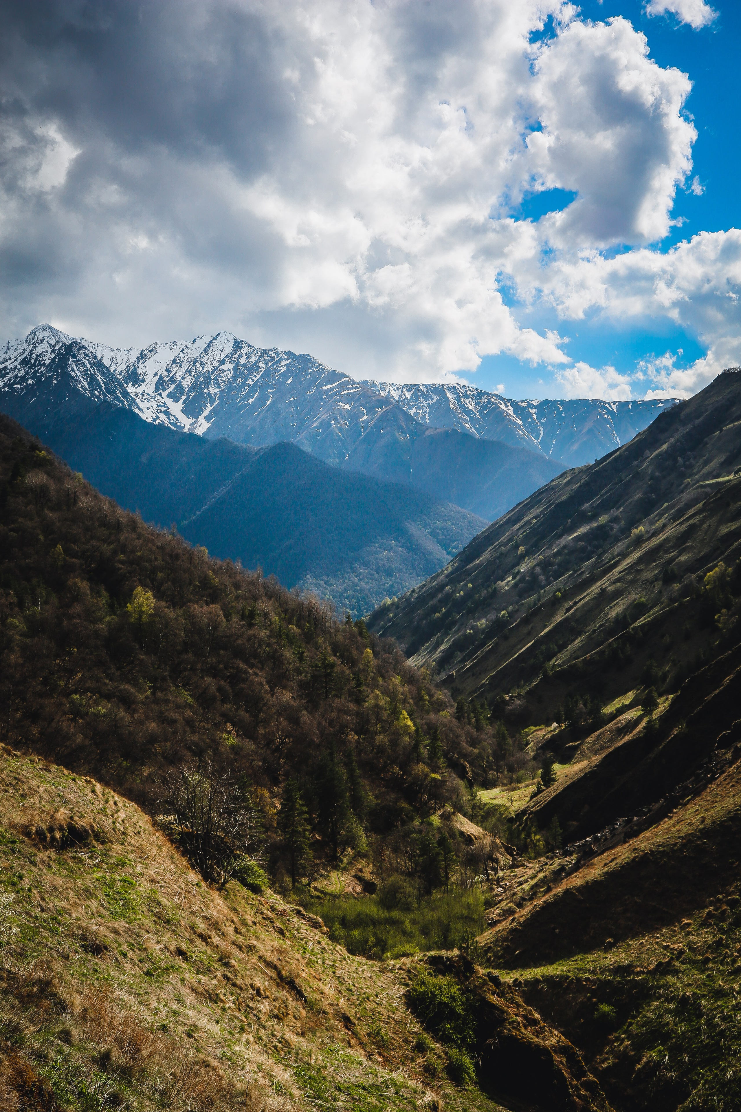 Кавказ: Ингушетия — страна башен. Дарья Письменюк / Darya Leitstern — фотограф, музыкант, журналист, путешественник