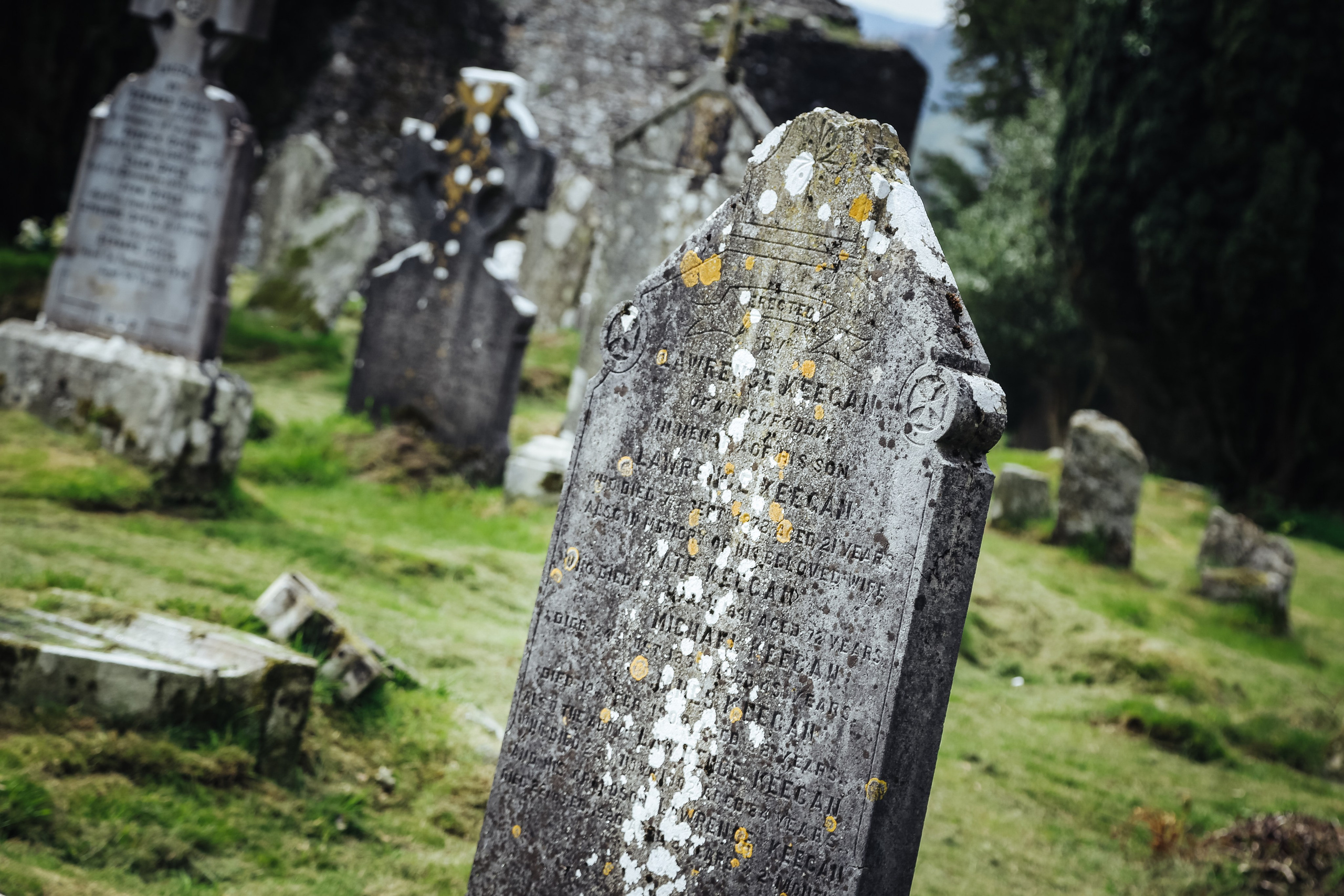 Ирландия: Горы Уиклоу. Дарья Письменюк / Darya Leitstern — фотограф, музыкант, журналист, путешественник