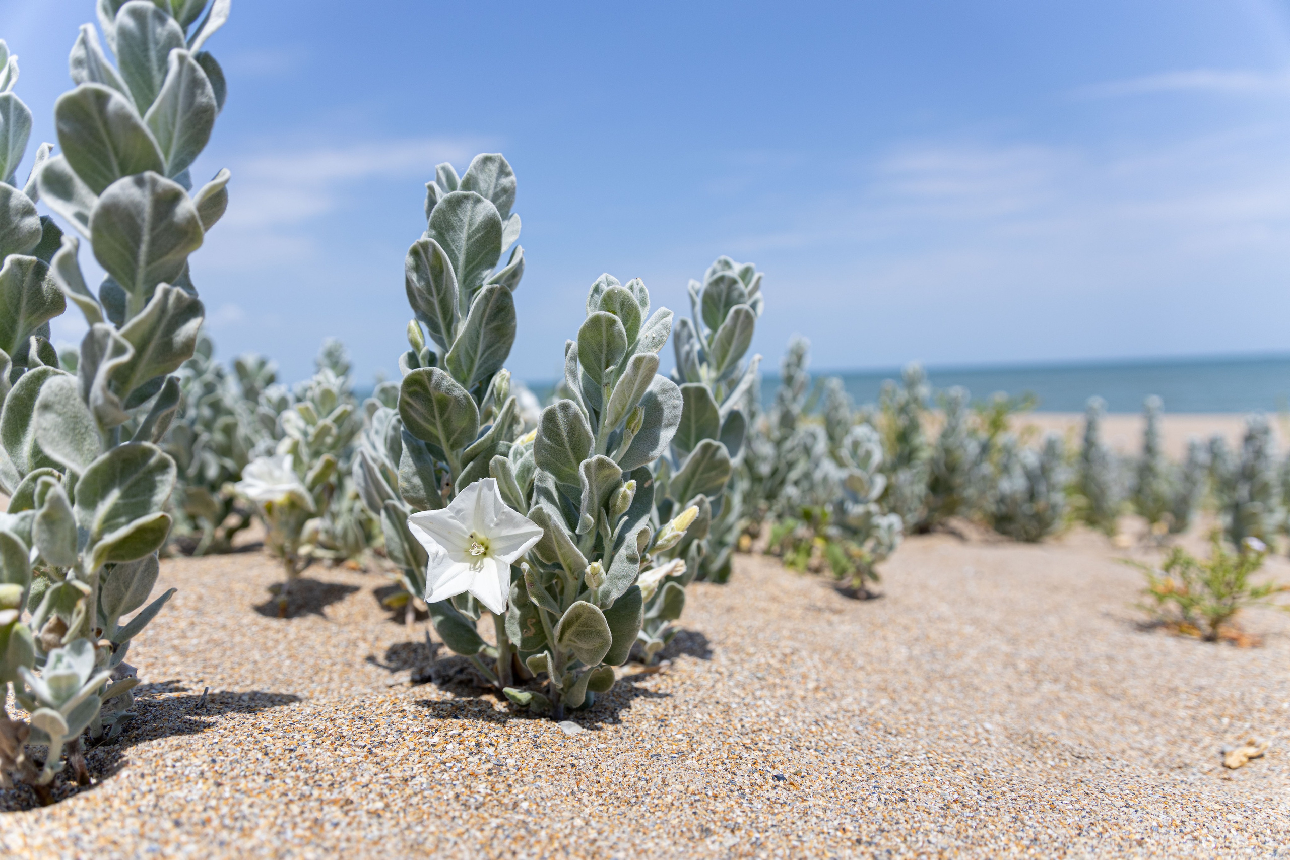Путешествия. Фотограф в Москве Повеквечных Софья