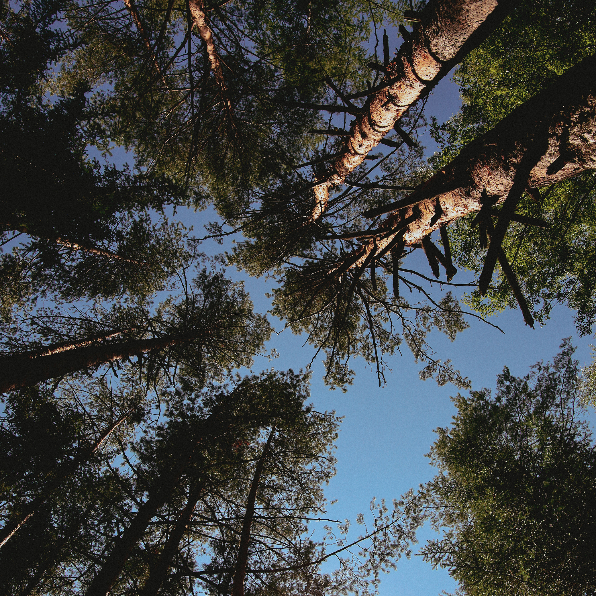 Summer hike. Фотограф/дизайнер в Екатеринбурге Хитрый Дмитрий