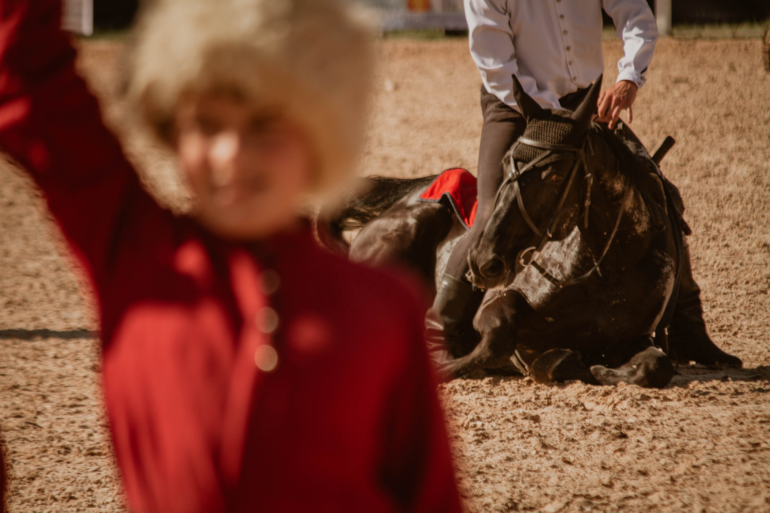 ИППОСФЕРА — Международная конная выставка. Создадим шедевр? Виталина и её фотоискусство