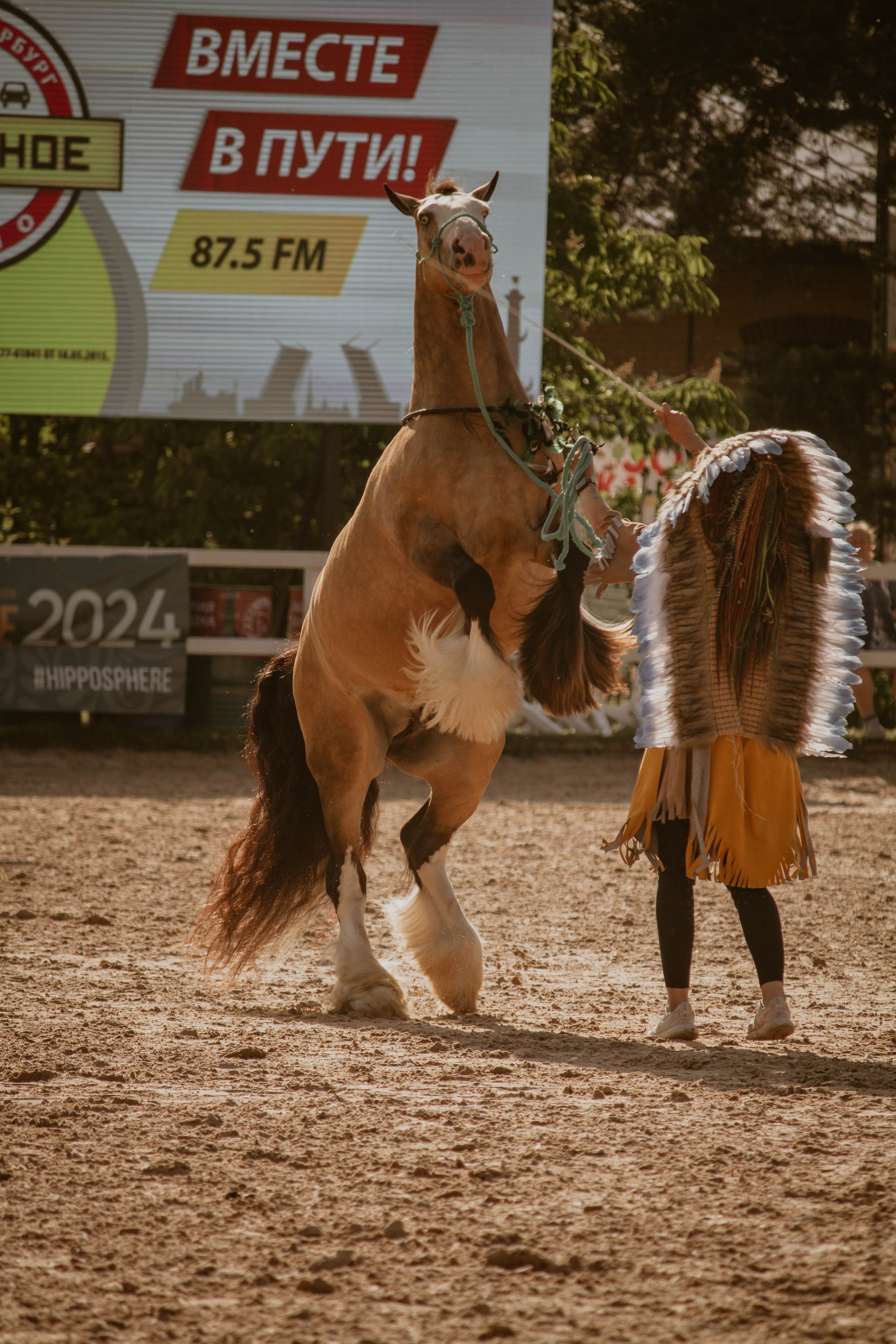 ИППОСФЕРА — Международная конная выставка. Создадим шедевр? Виталина и её фотоискусство