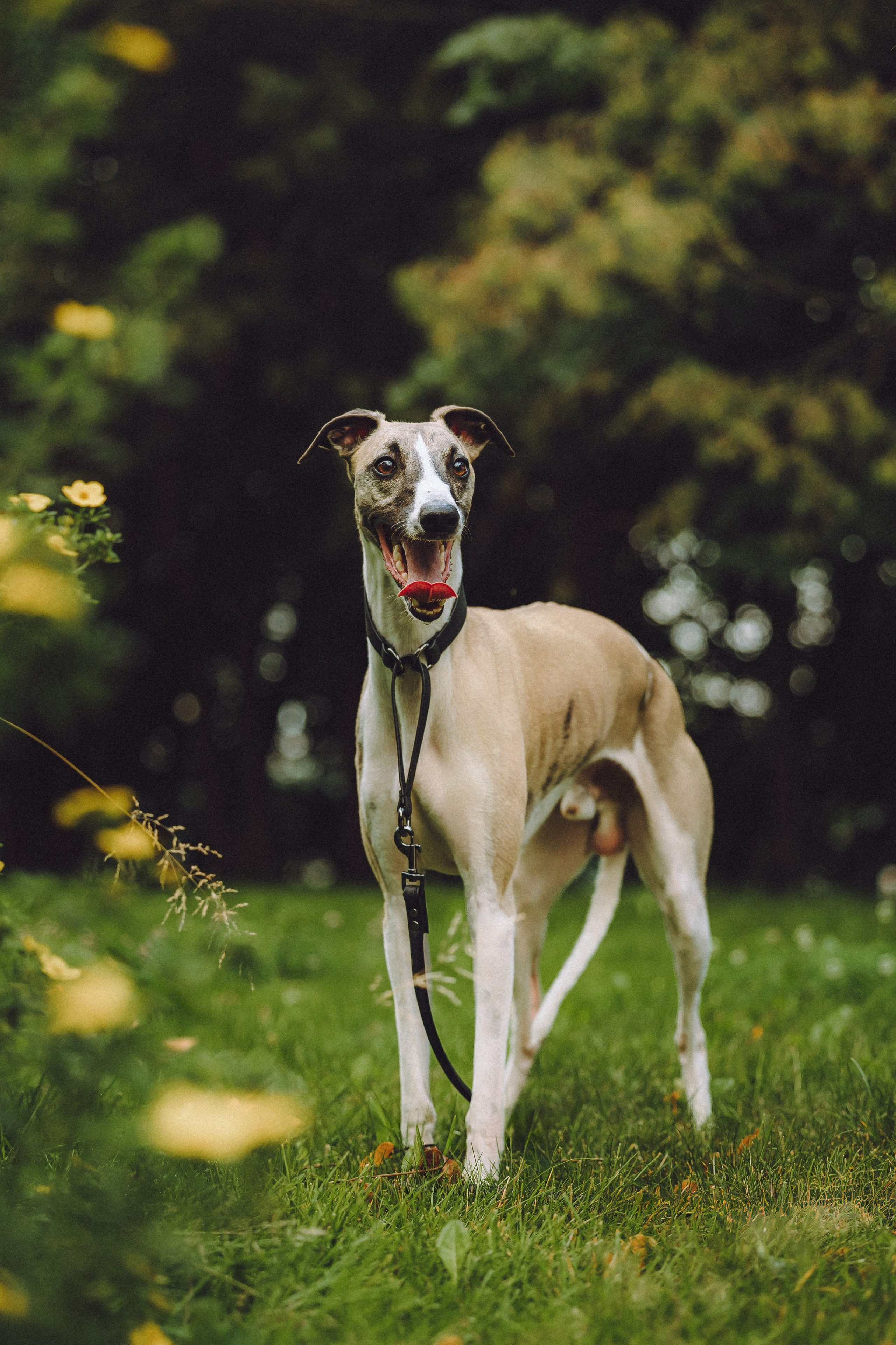 Ирина, Илья и Рик