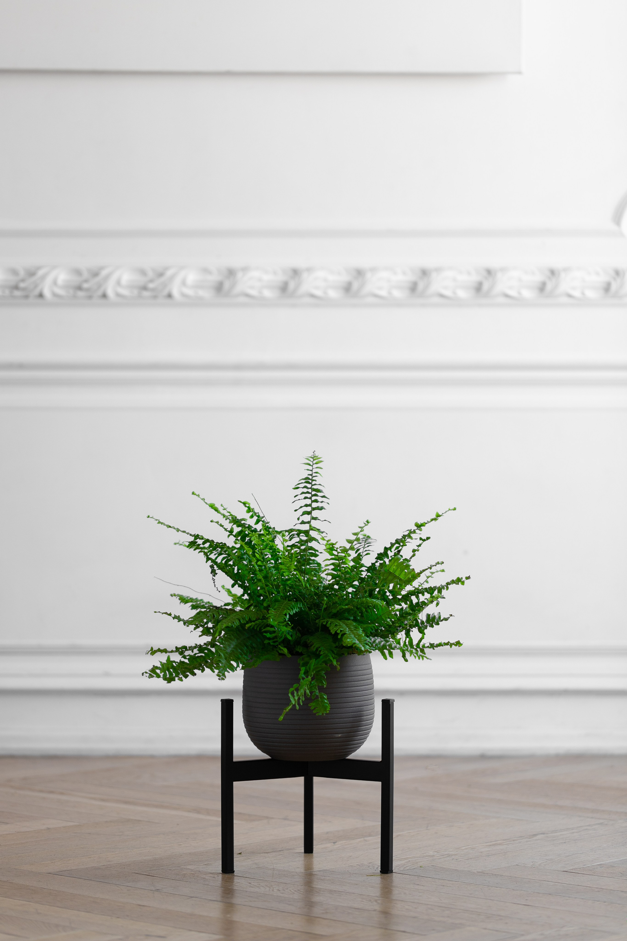 GREENWEEN. Дизайнерская мебель. Интерьерный фотограф и видеограф в Санкт-Петербурге Вадим Балбашевский