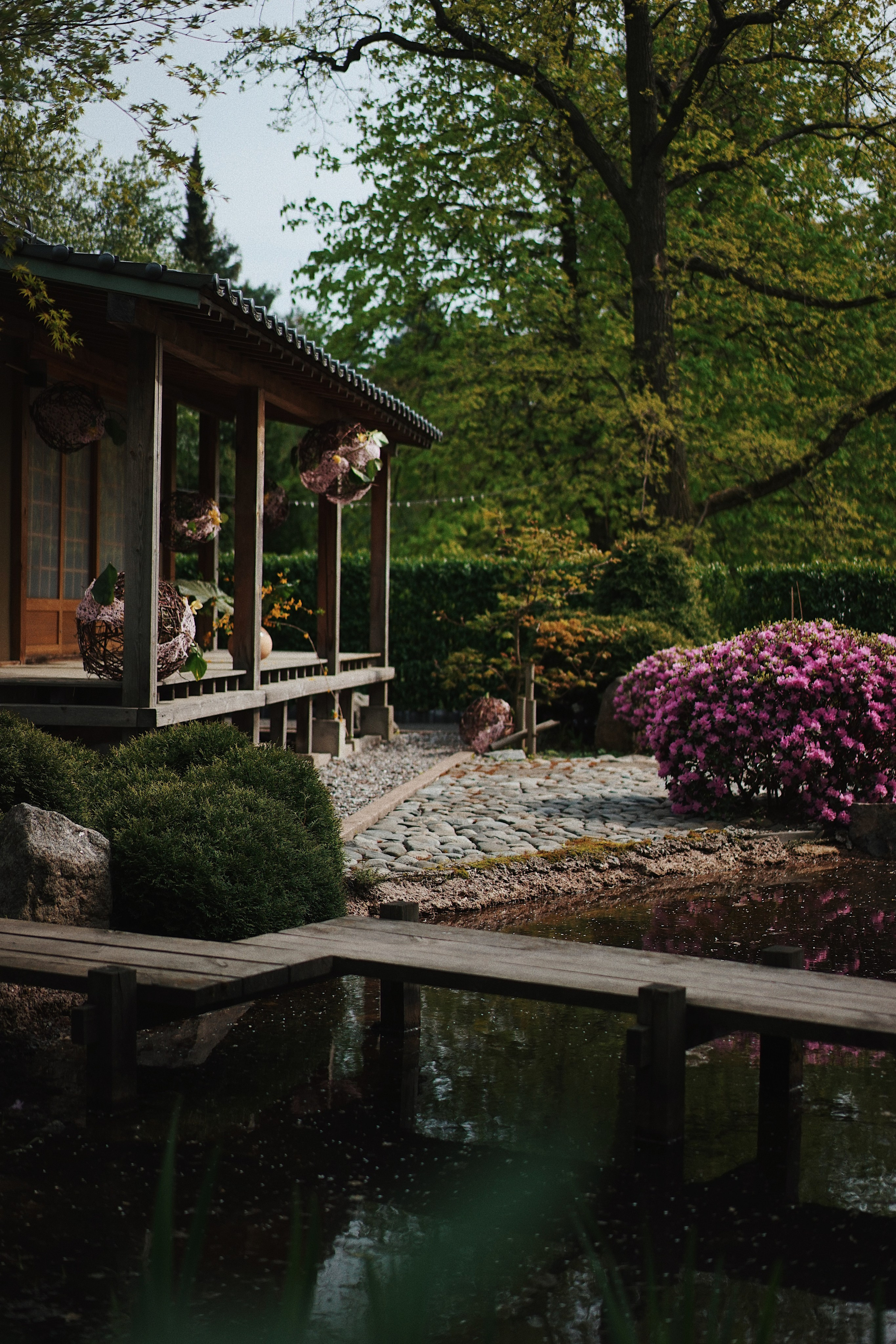 Nature. Ксения Копна. Фотограф из Санкт-Петербурга