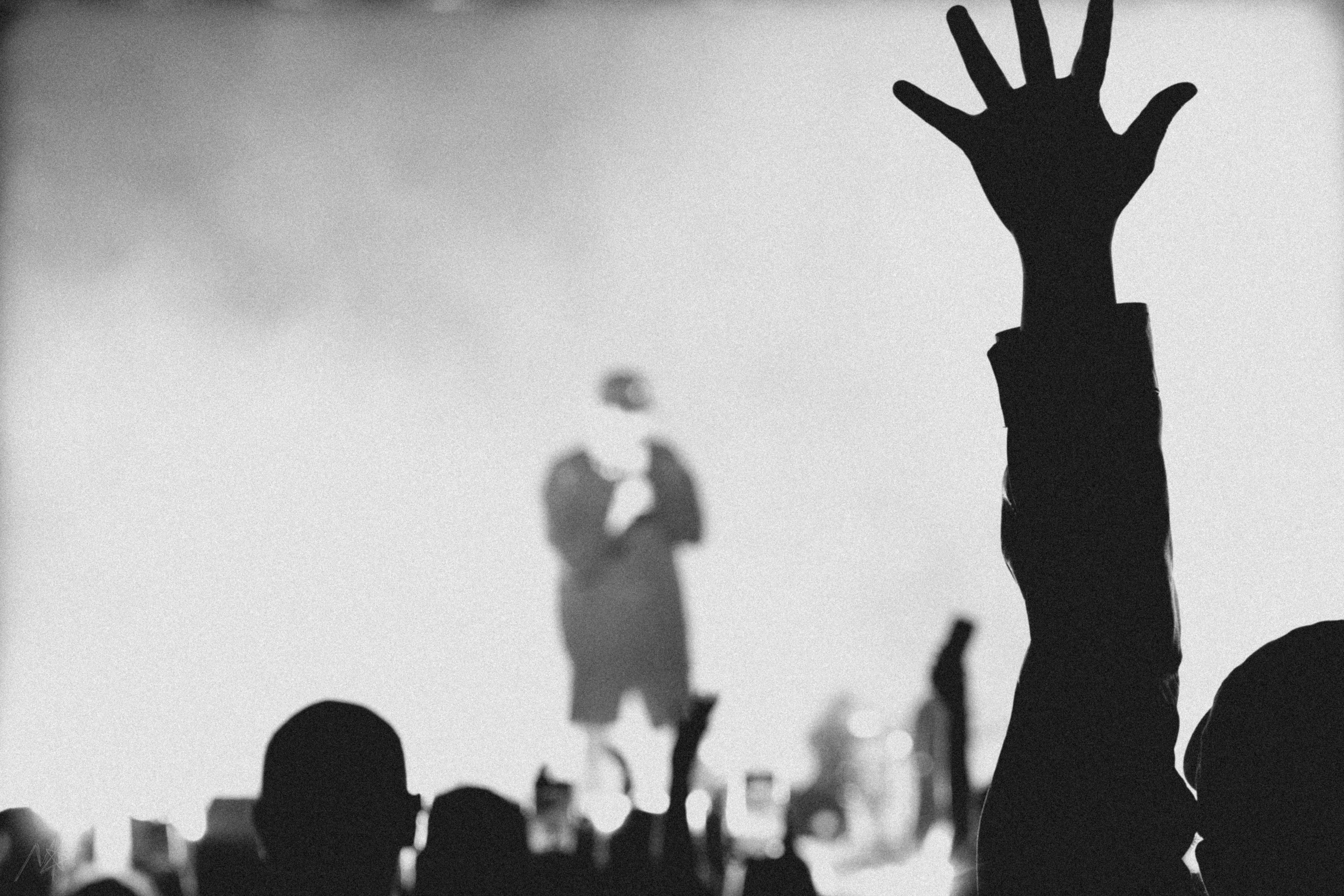 Tritia. Концертный фотограф