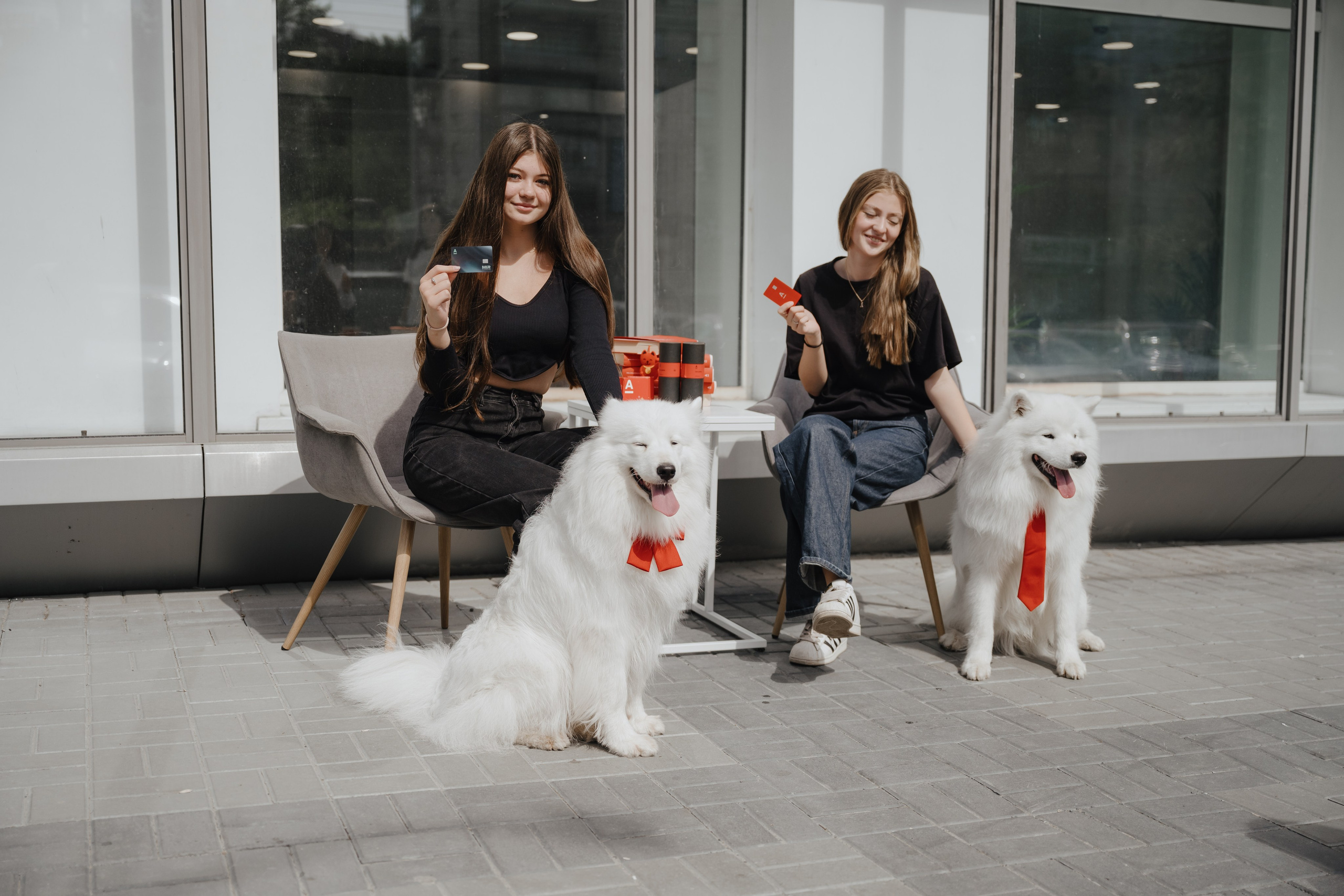 Альфа банк Карла Маркса 55. Фотограф Кристина Тумаева. Самоед Новосибирск