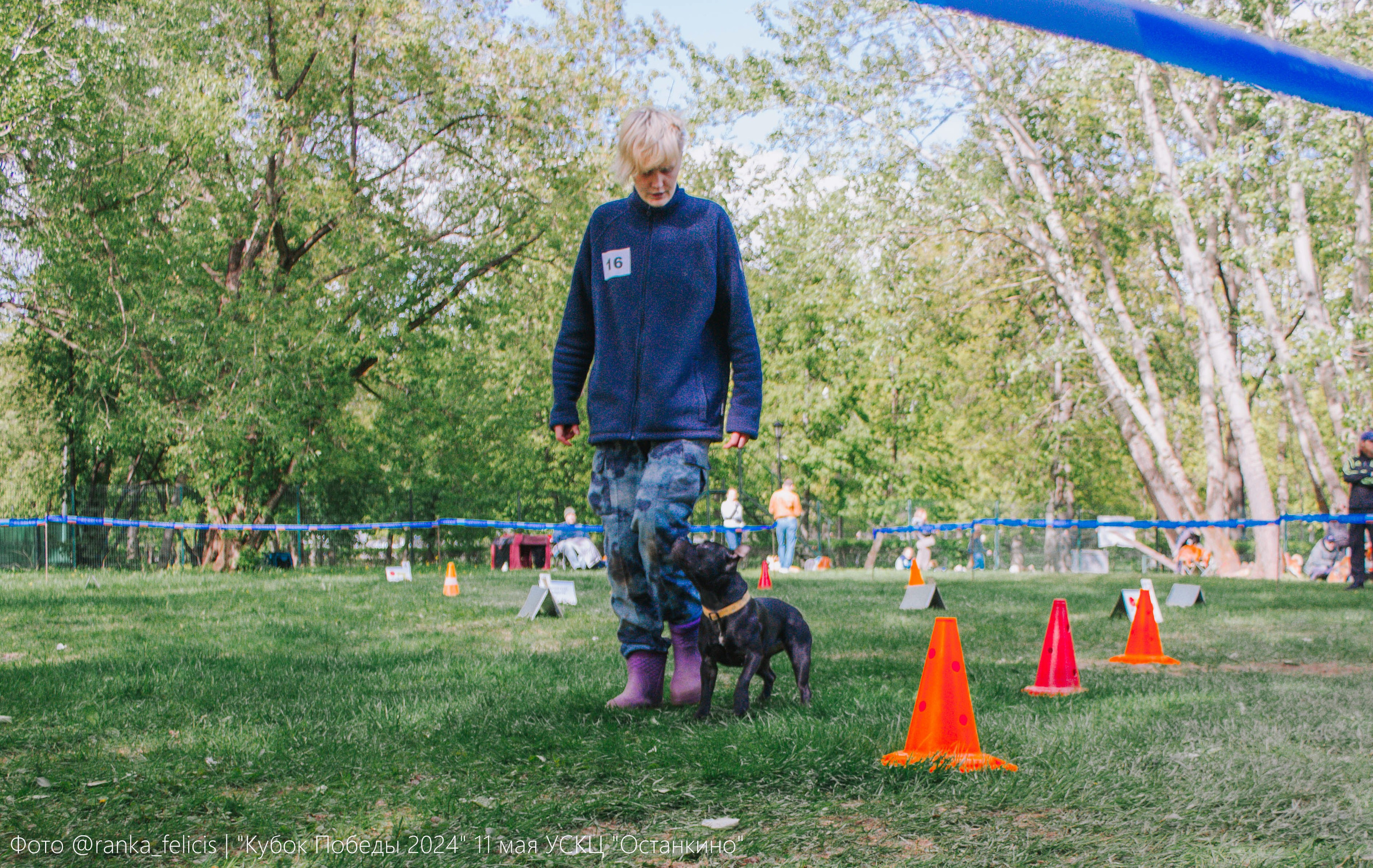 Тсахик. BLGKV питомник собак