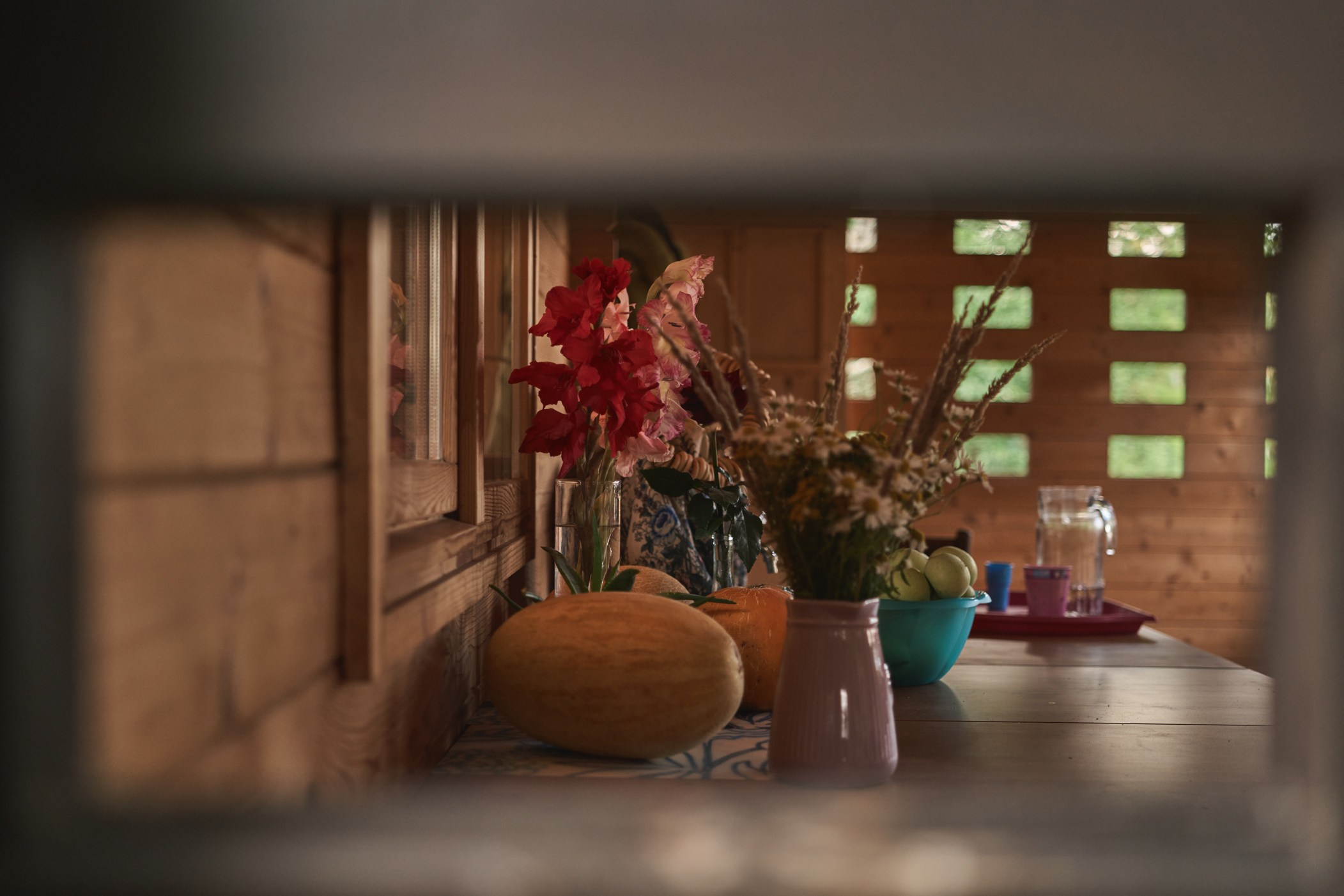 Пшеничное поле, битва Nerf и домик художницы. Фотограф Женя Пашкина