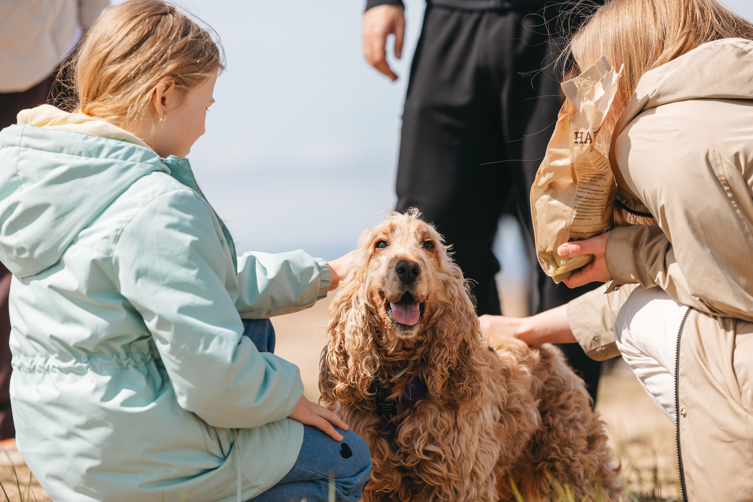 Спанимания. Фотограф анималист Осипчикова Мария