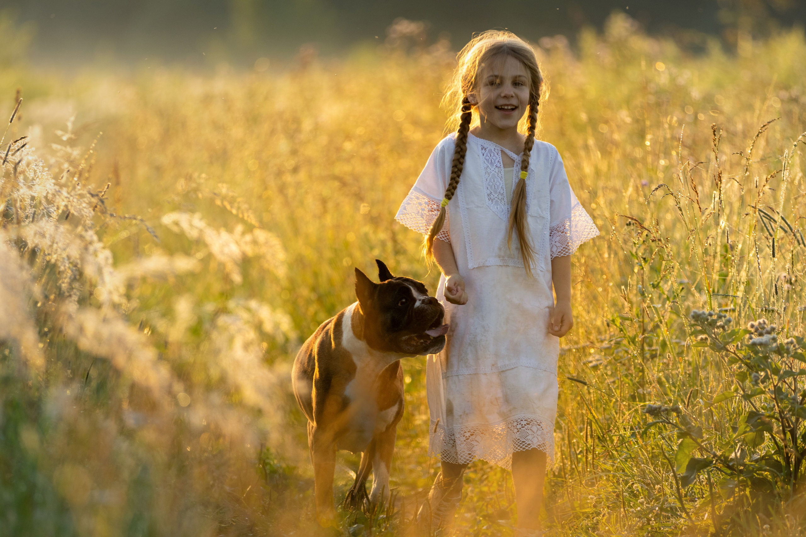 Прогулки. Фотограф — анималист в Москве и области Ольга Петракова