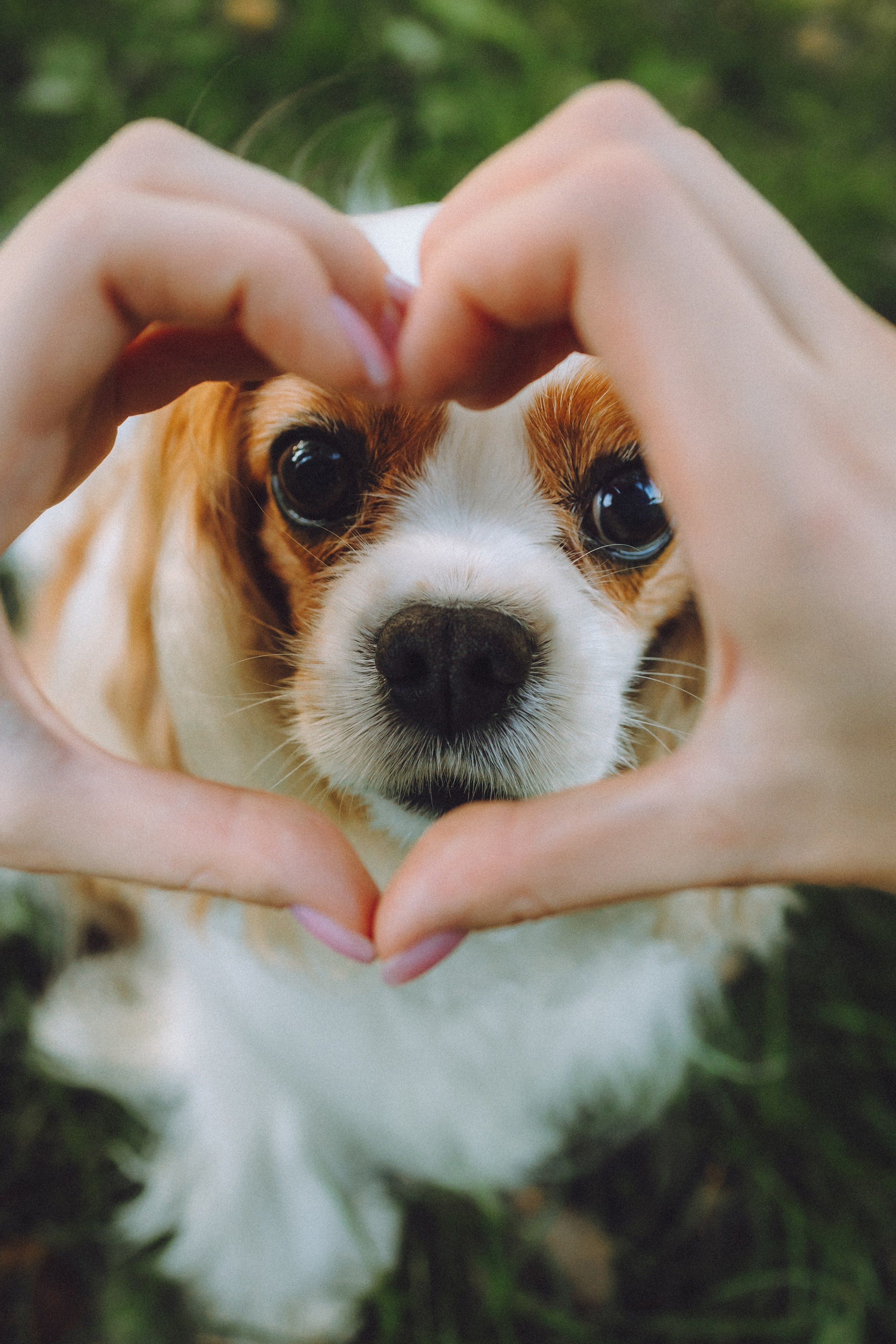 Наташа и Вики