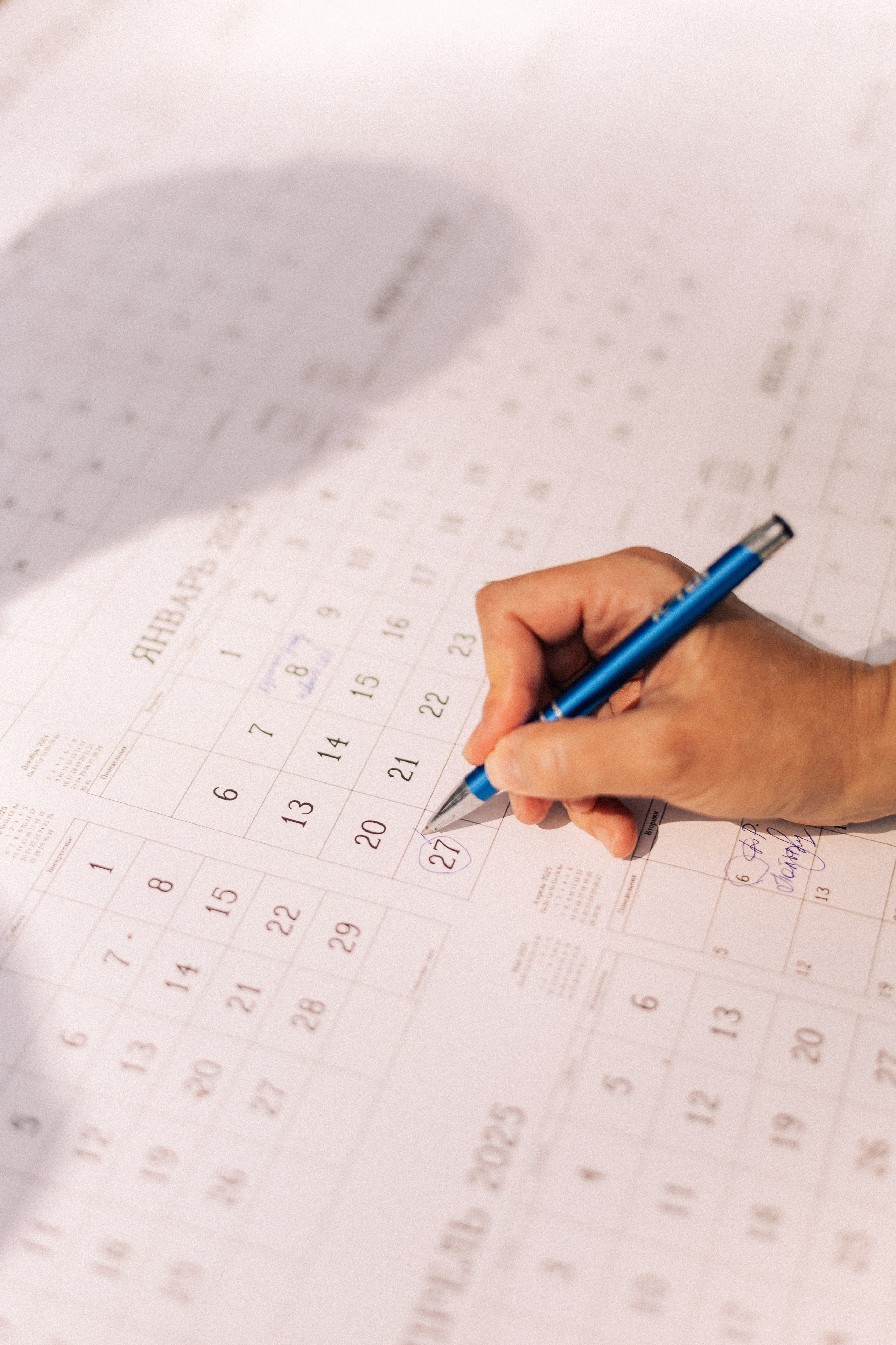 Корги свадьба в сосновом лесу. Фотограф Москва Жуковский Раменское