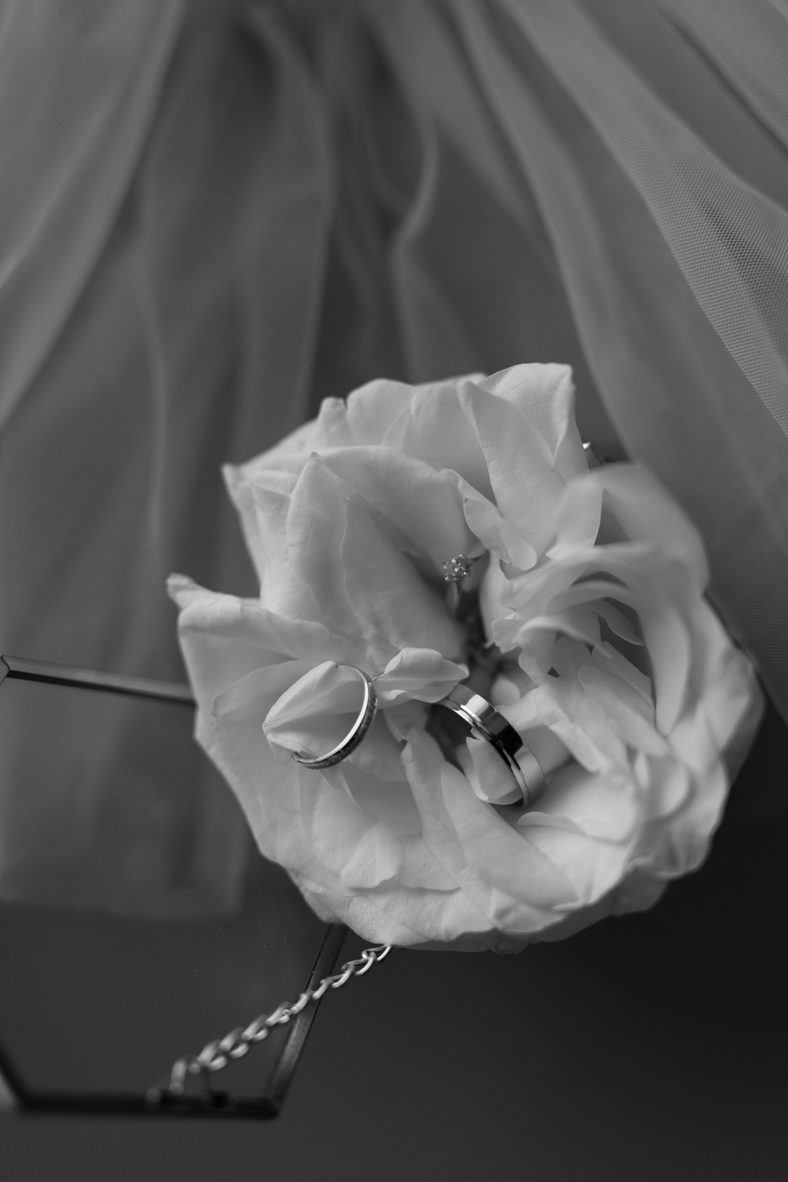 A&A. Фотограф Таганрог Хребет София